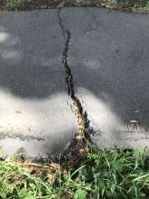 Open311 file from 2025-09-14 13:44:54