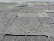 Open311 file from 2025-09-16 13:23:44