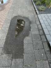 Open311 file from 2025-09-12 20:29:31