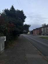 Sehr tief hängender Baum über geh und Rad weg.