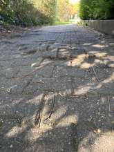 Open311 file from 2025-09-27 14:47:54