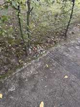 Open311 file from 2025-09-28 17:22:14