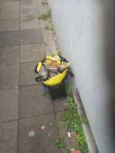 Open311 file from 2025-10-07 13:55:17