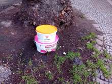 Open311 file from 2025-11-24 10:33:25