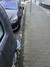 Open311 file from 2025-11-24 16:23:34