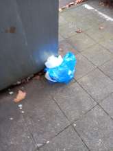 Open311 file from 2025-11-06 14:33:52