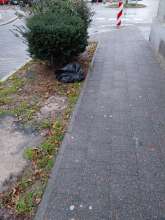 Open311 file from 2025-12-02 08:51:47