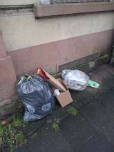 Open311 file from 2025-12-08 09:18:26