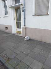 Open311 file from 2026-01-23 12:46:18