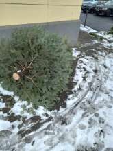 Open311 file from 2026-01-08 13:08:25