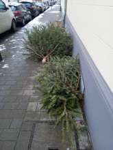 Open311 file from 2026-01-08 13:10:33