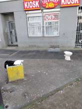 Open311 file from 2026-03-10 11:56:18