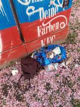 Open311 file from 2026-04-20 10:19:12