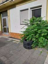Open311 file from 2026-09-28 12:41:23