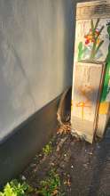 Open311 file from 2026-09-10 18:48:20