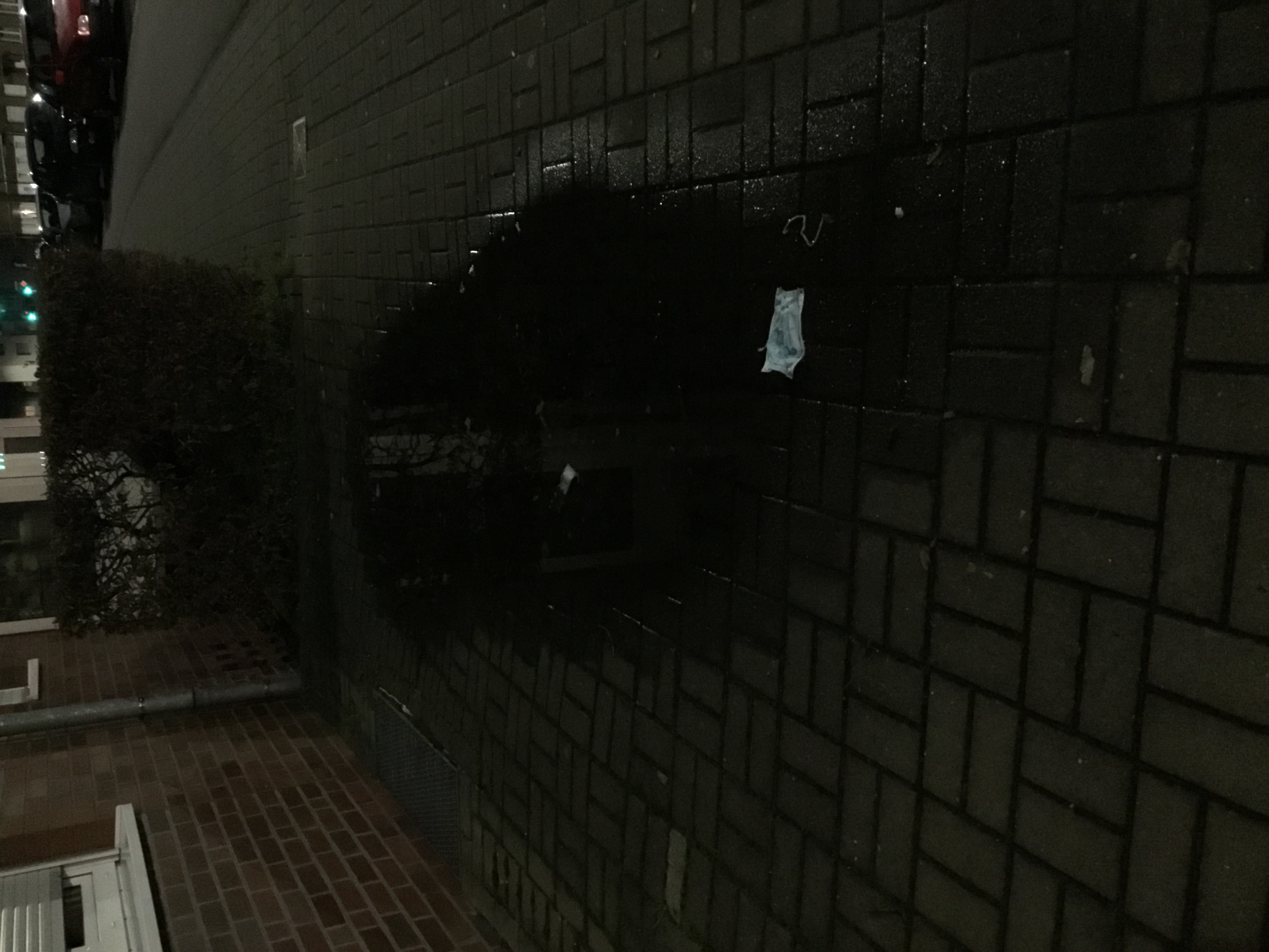 Open311 file from 2023-01-19 09:36:27