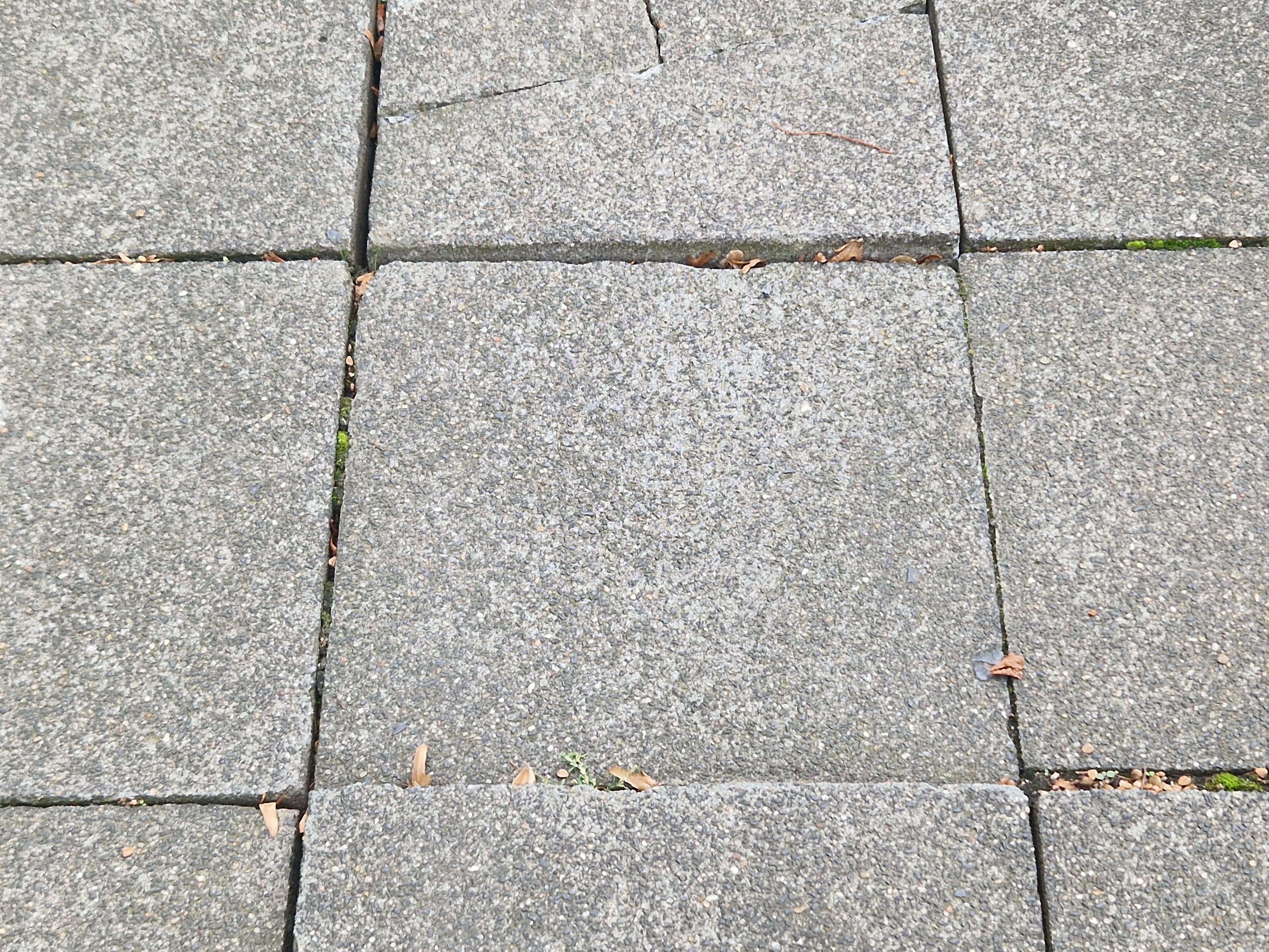 Open311 file from 2025-09-22 13:30:47