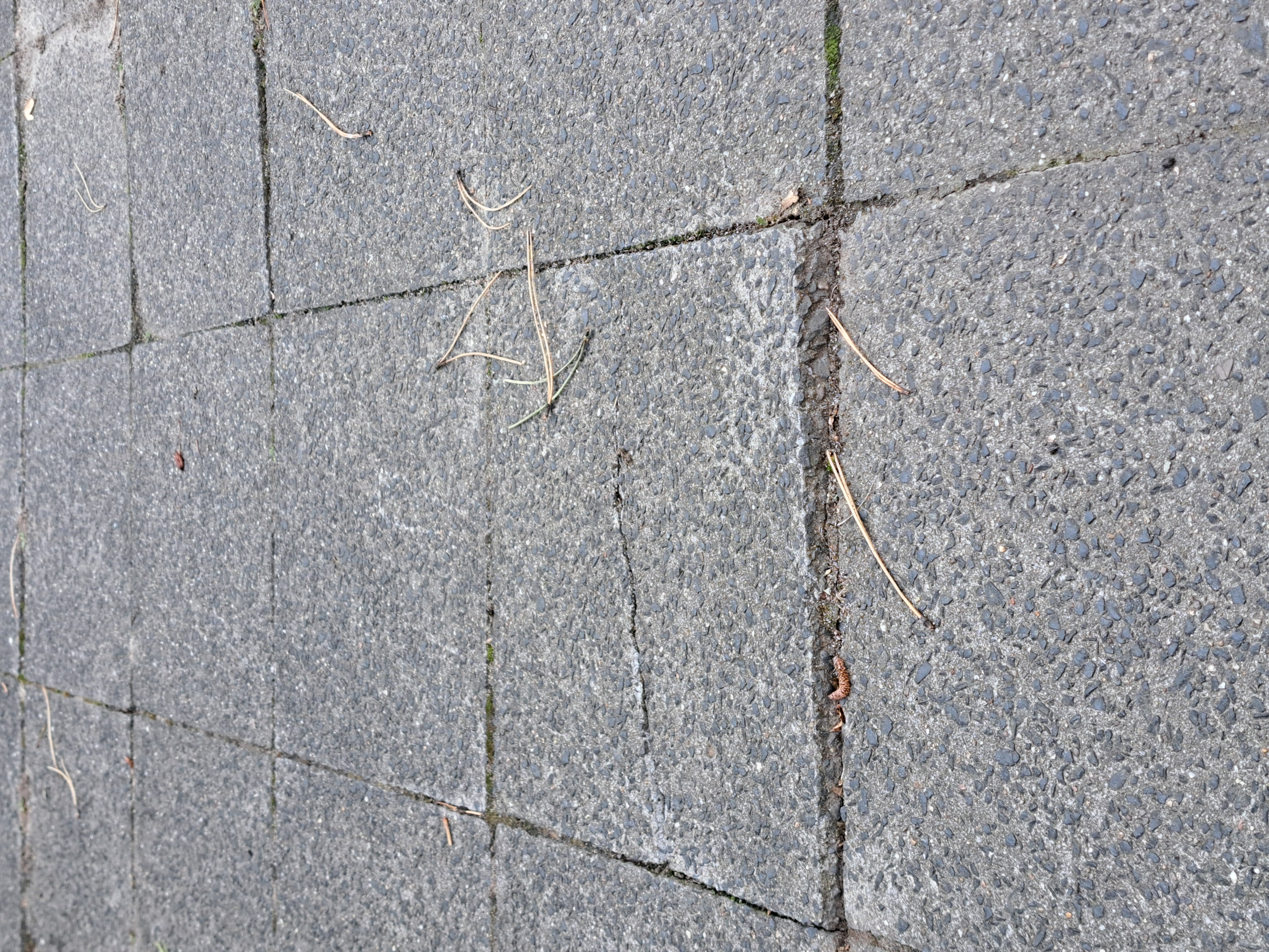 Open311 file from 2025-09-20 12:31:08