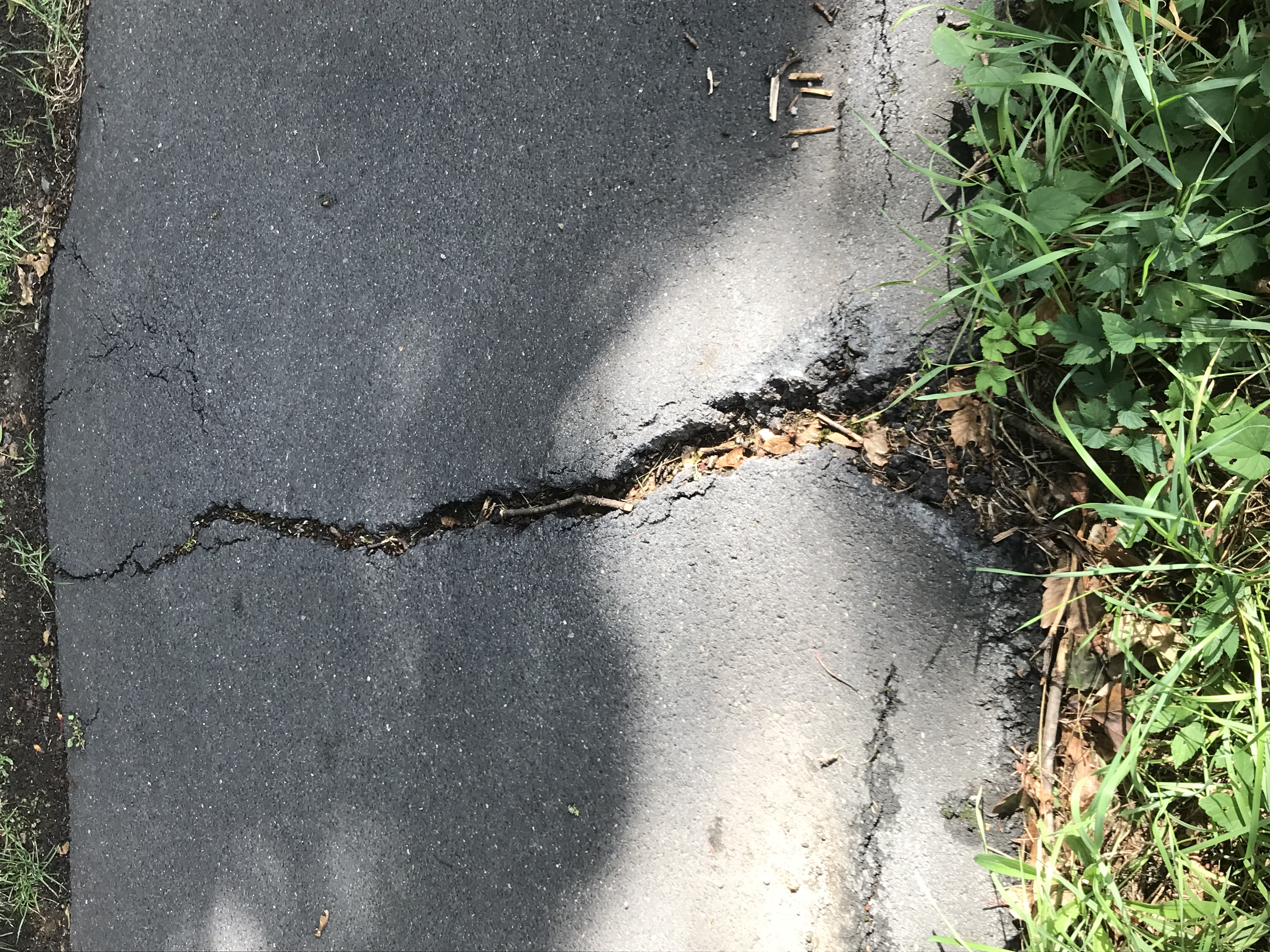 Open311 file from 2025-09-14 13:44:54