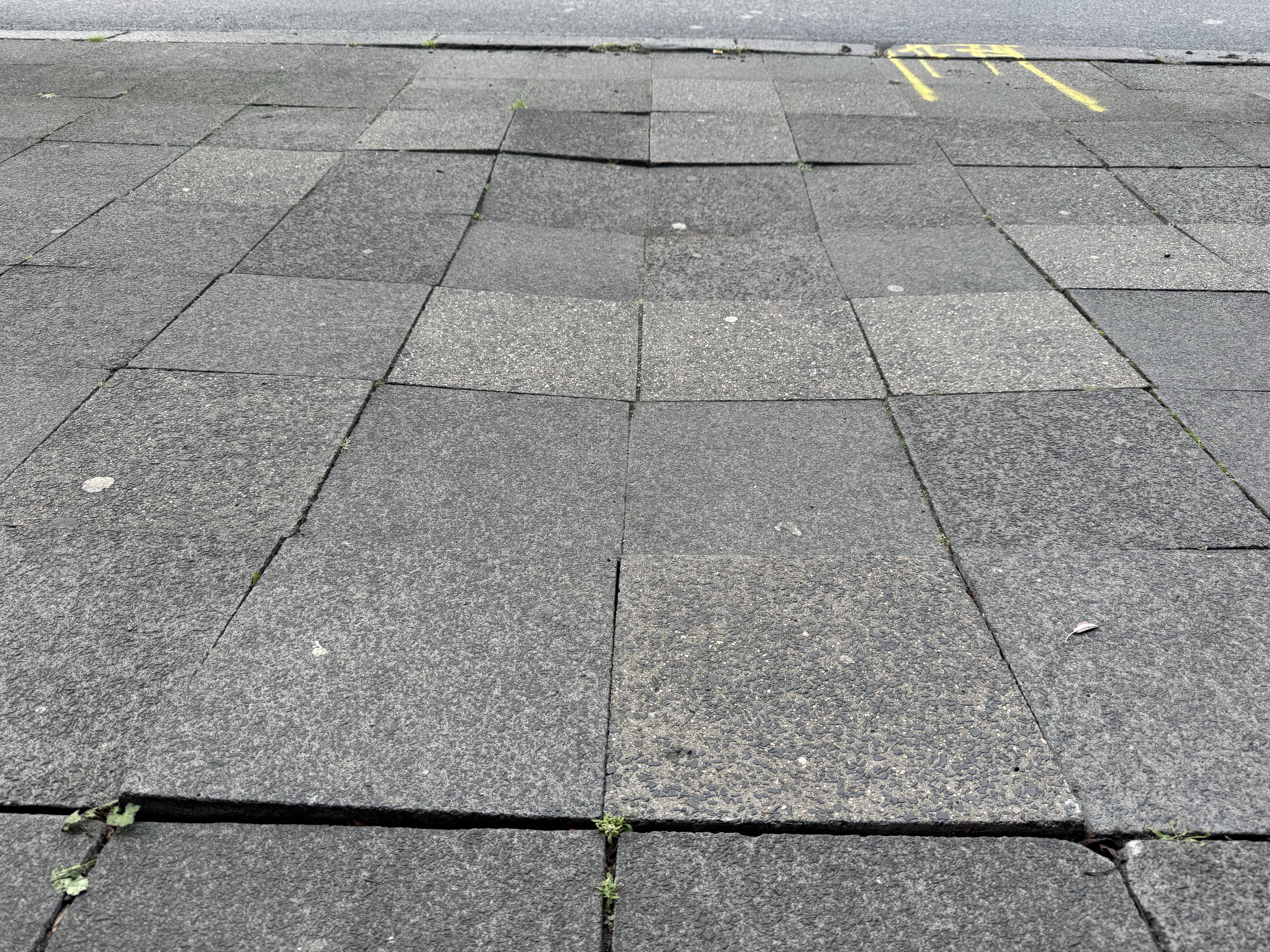 Open311 file from 2025-09-16 13:23:44