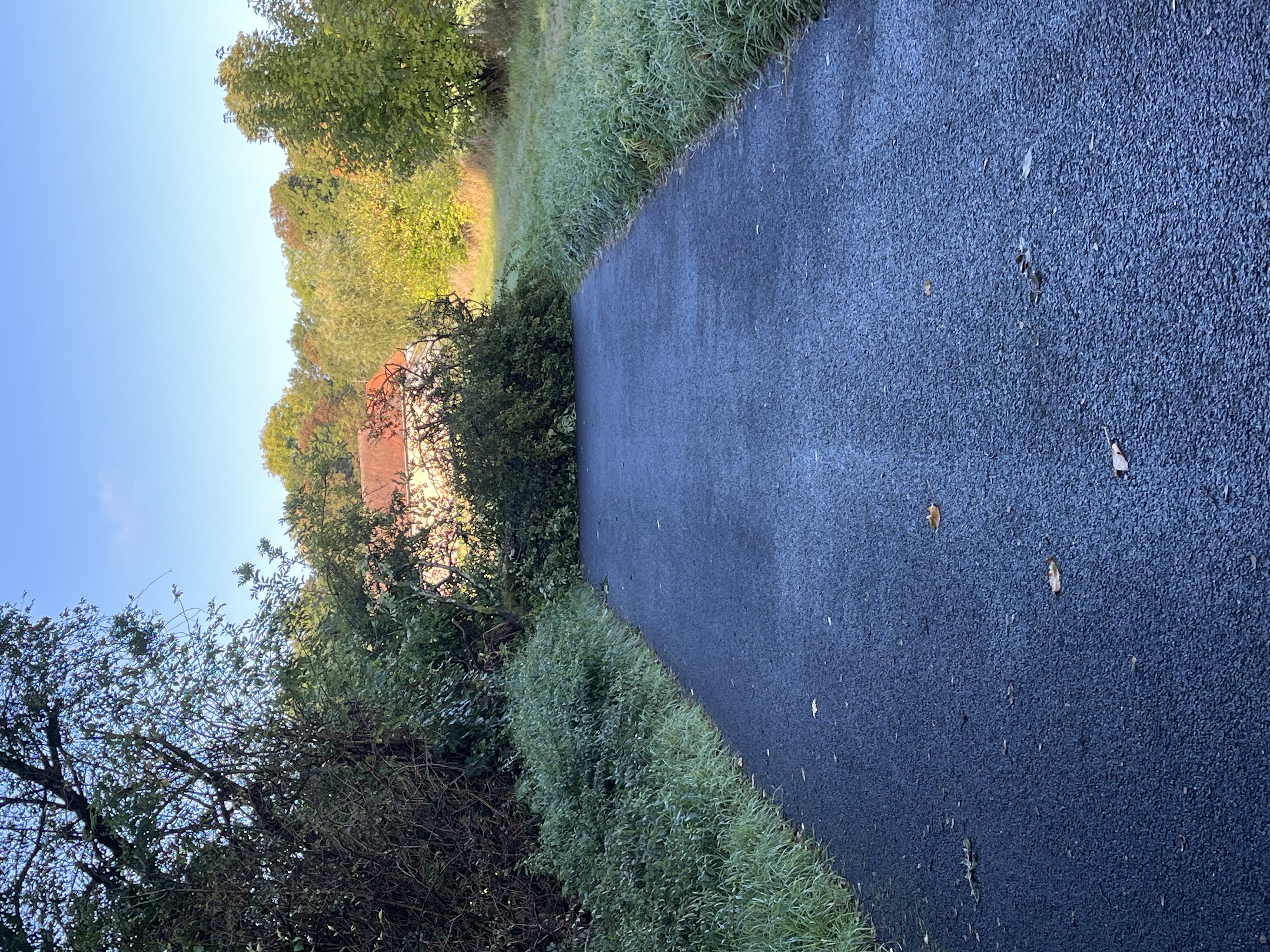 Open311 file from 2025-09-14 09:25:23