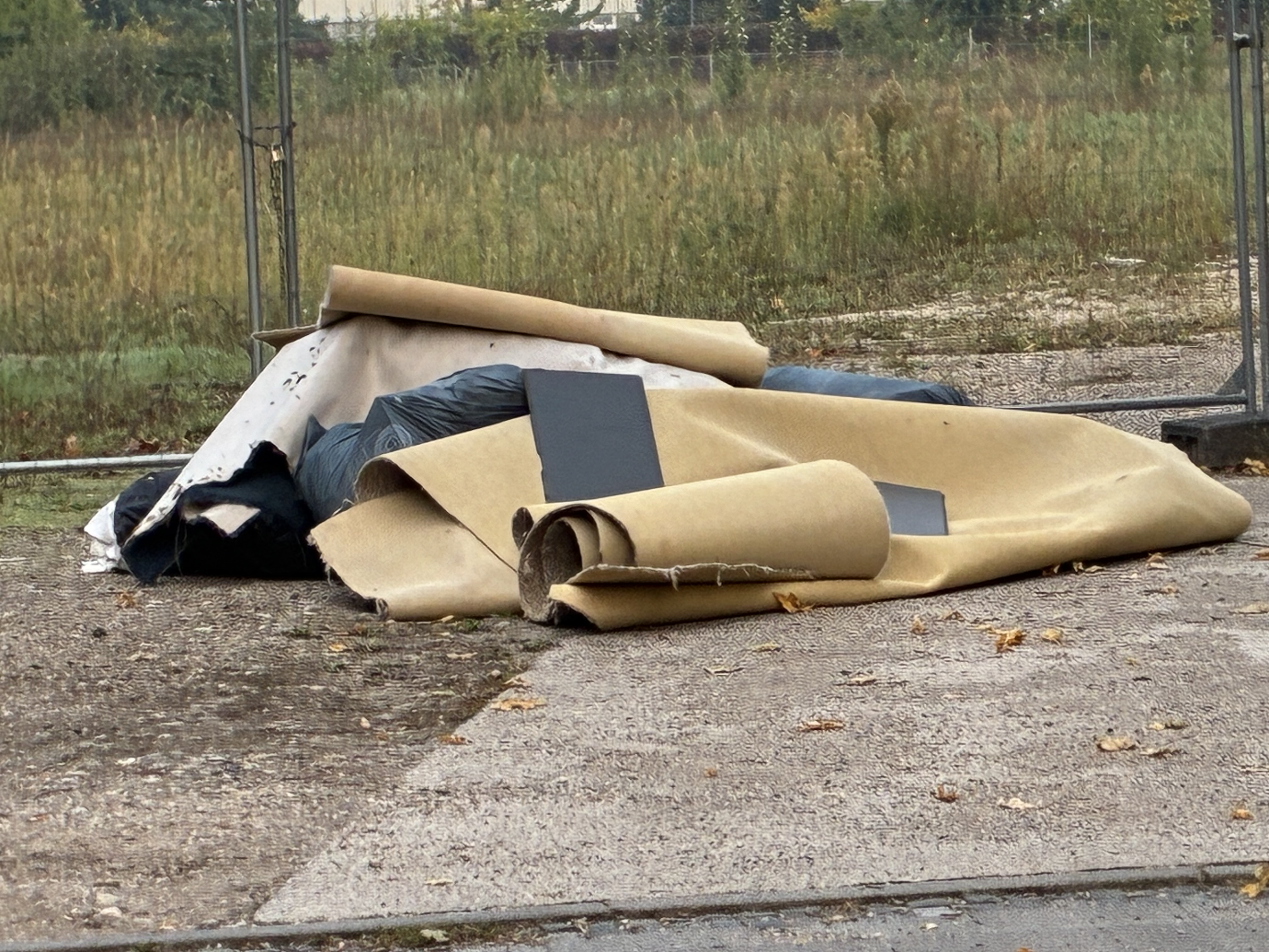 Open311 file from 2025-09-29 07:54:54