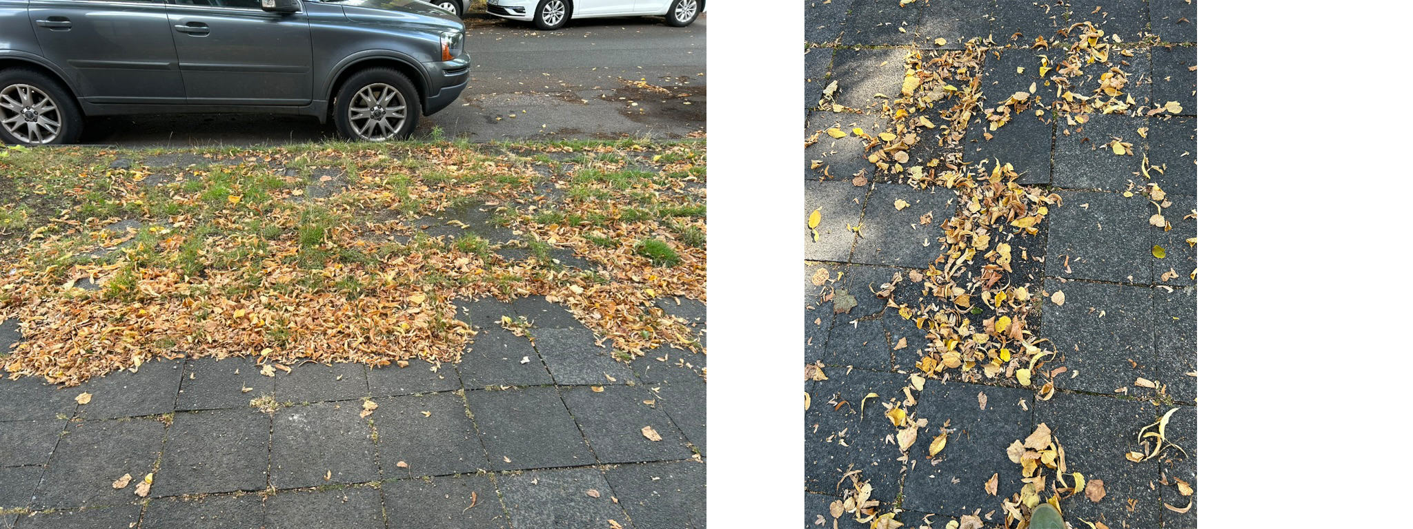 Open311 file from 2025-09-12 13:43:50