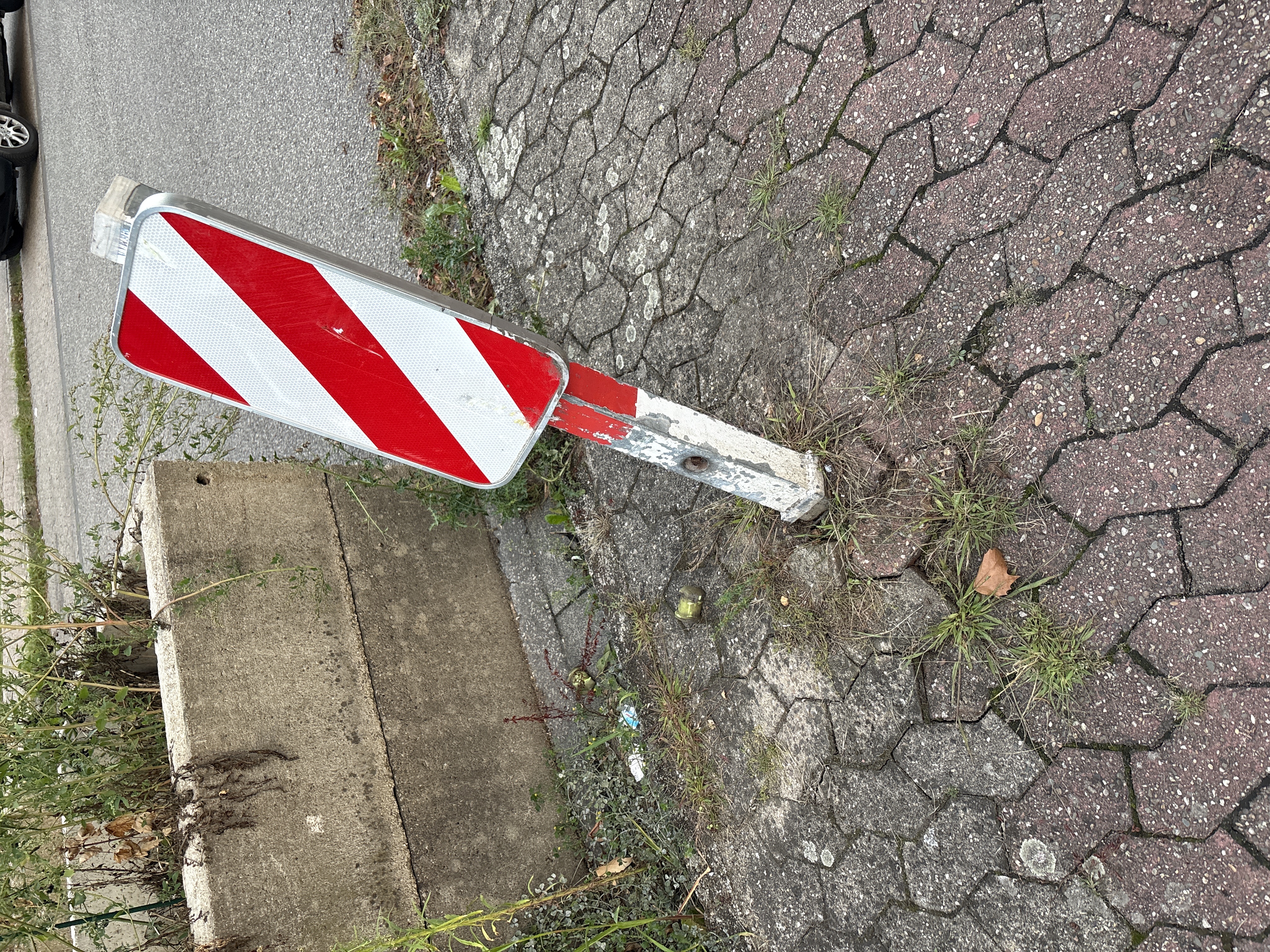 Open311 file from 2025-09-10 19:44:35