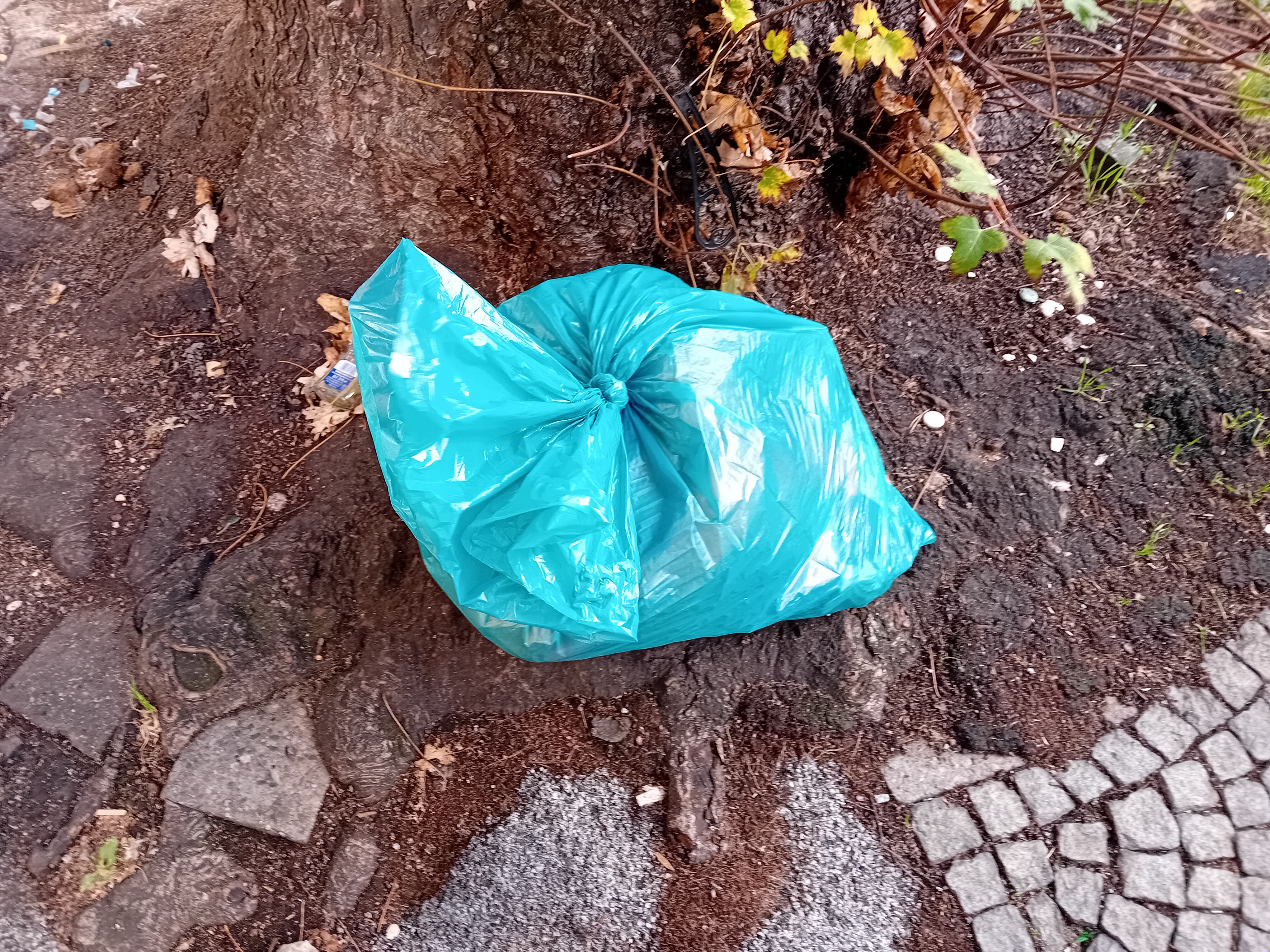 Open311 file from 2025-10-24 14:12:23