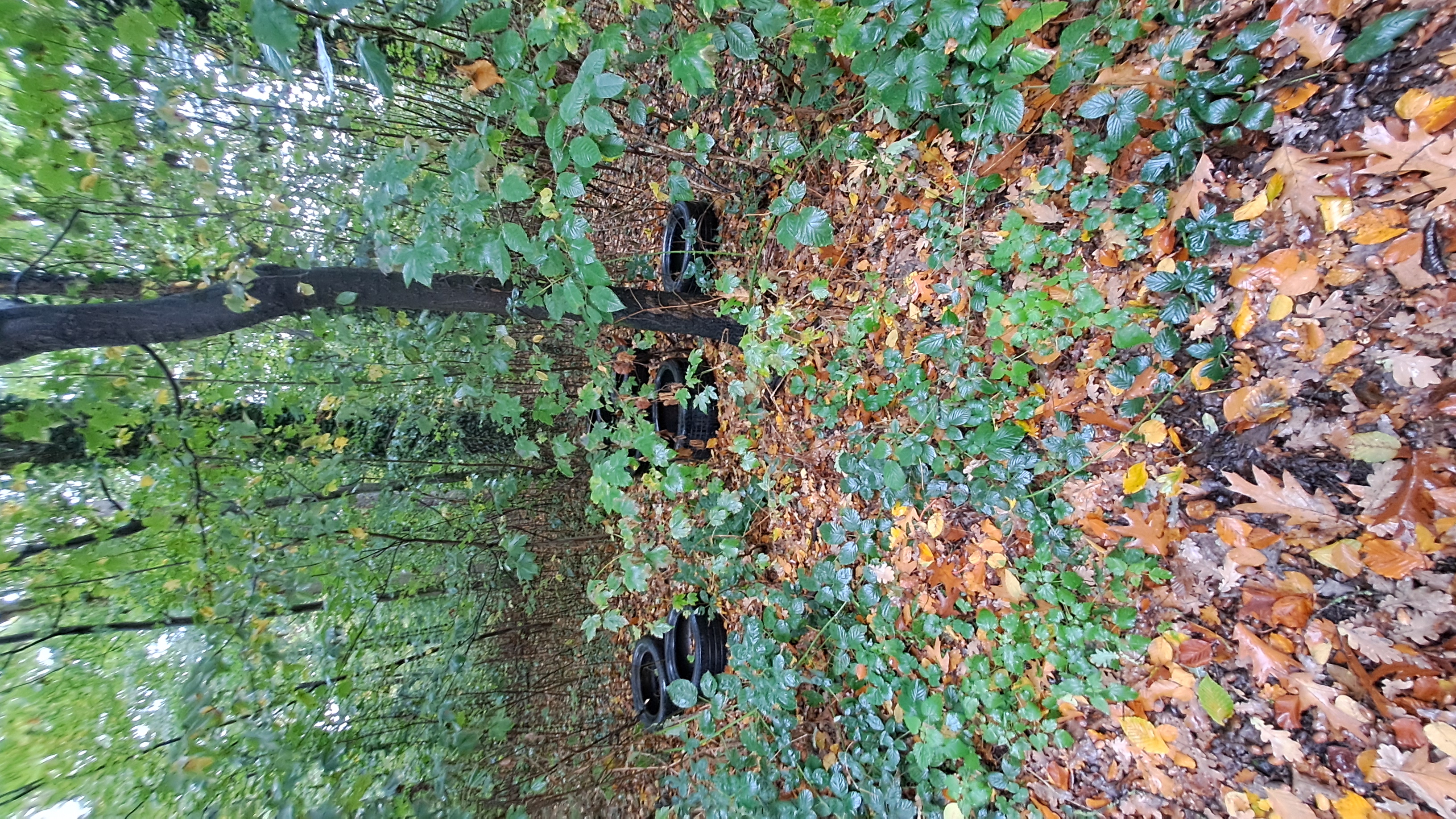 Open311 file from 2025-10-27 12:24:49