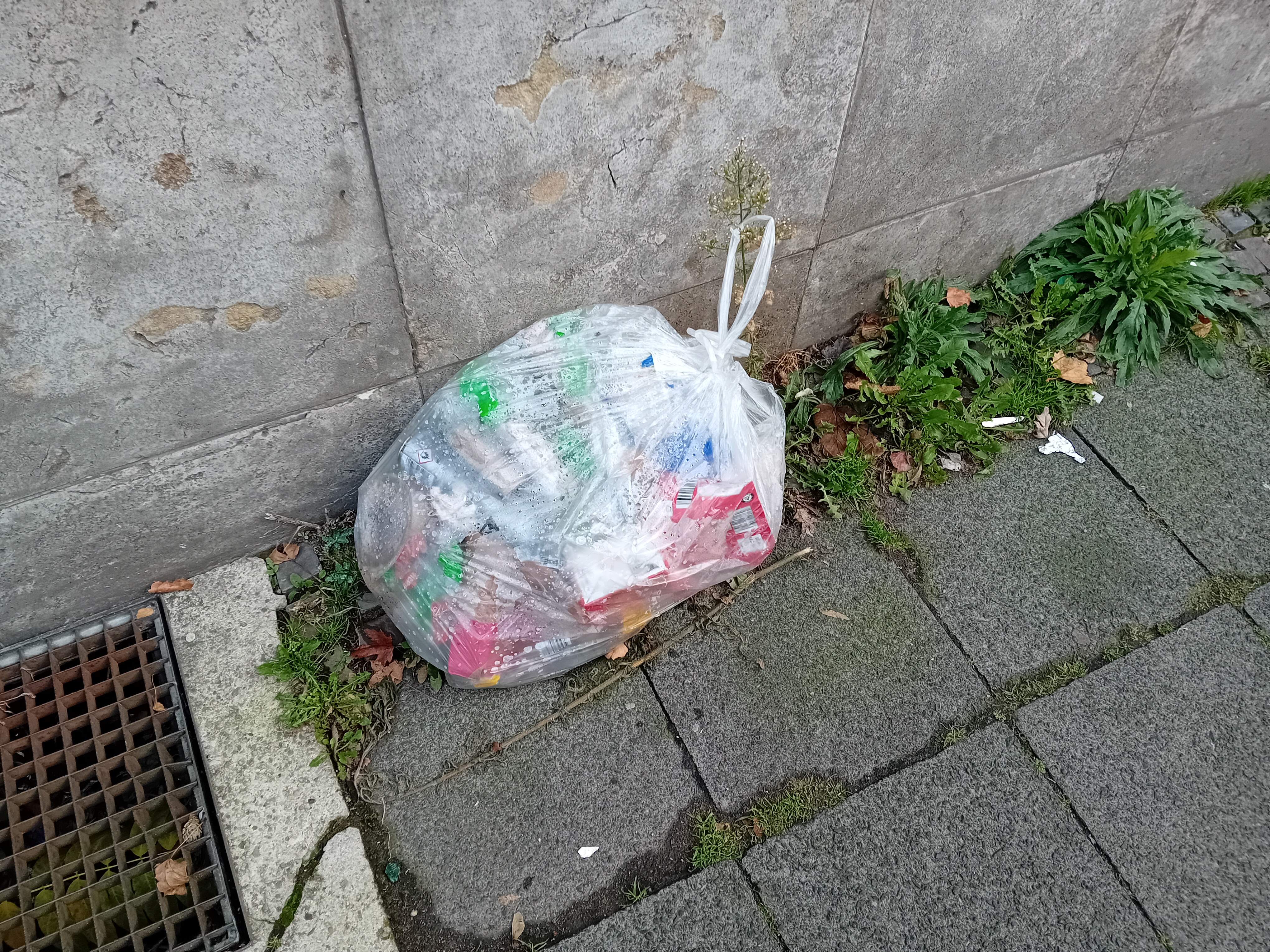 Open311 file from 2025-11-20 13:43:04