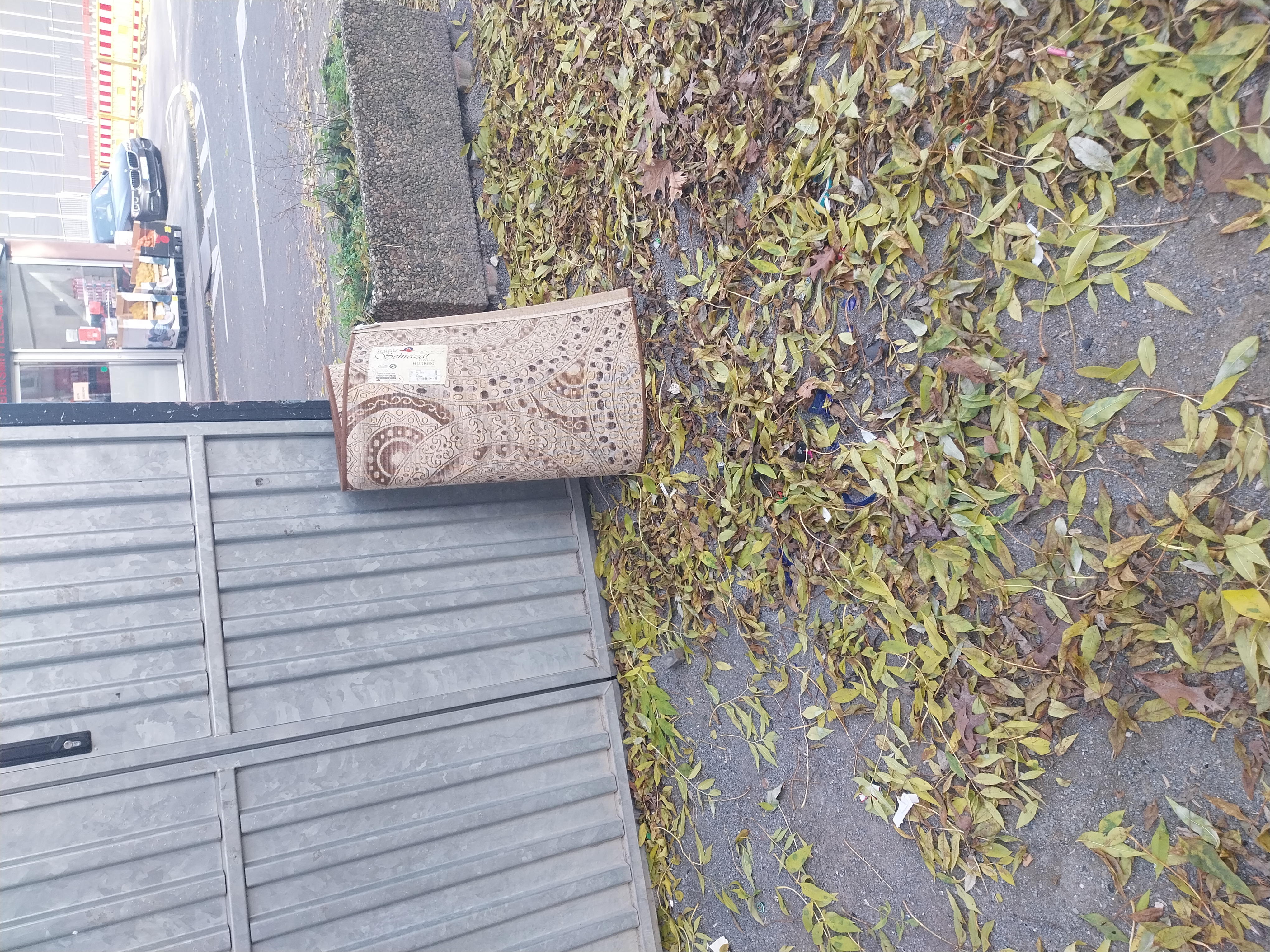 Open311 file from 2025-11-05 11:08:59