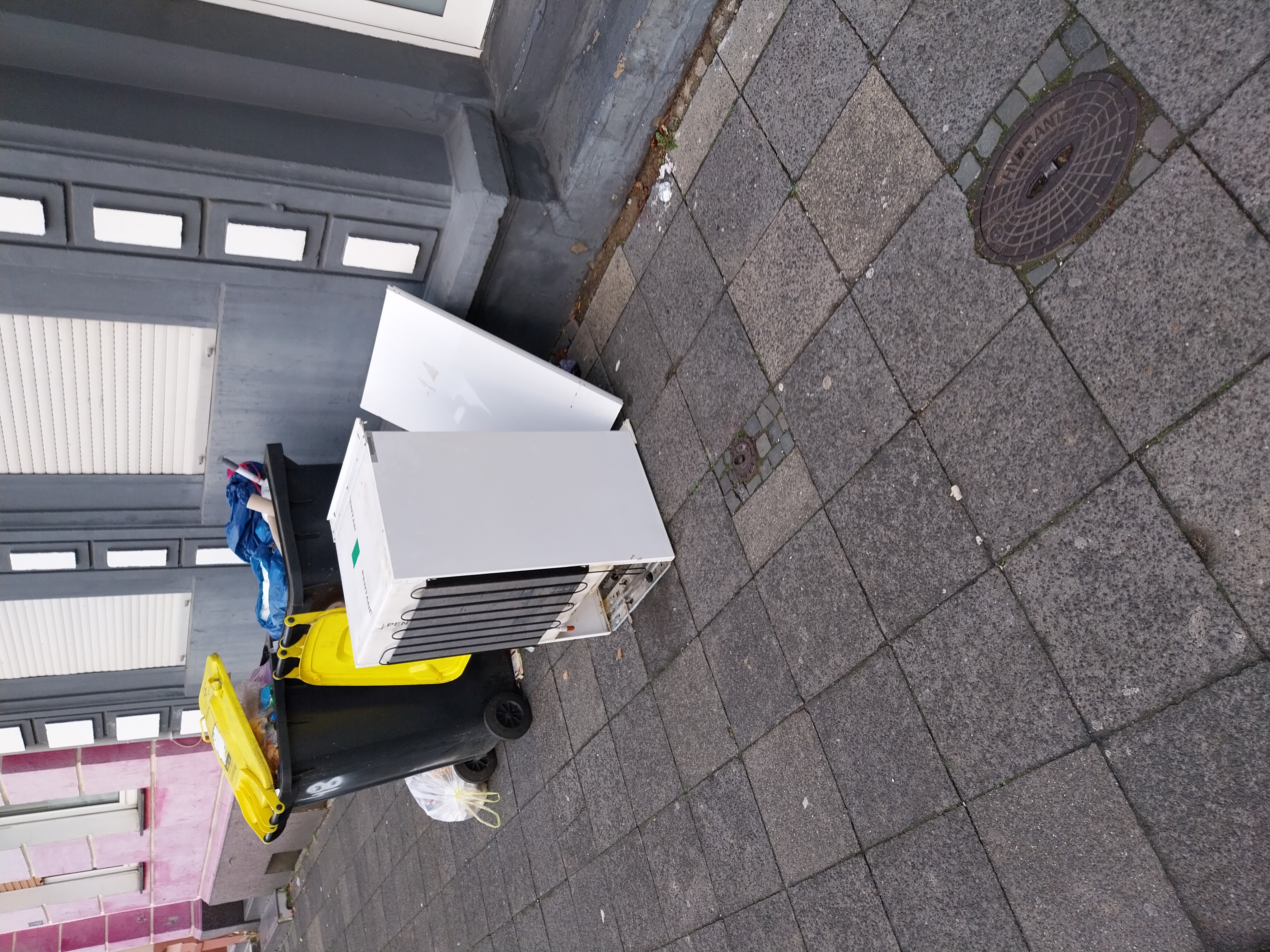 Open311 file from 2025-11-24 08:44:01