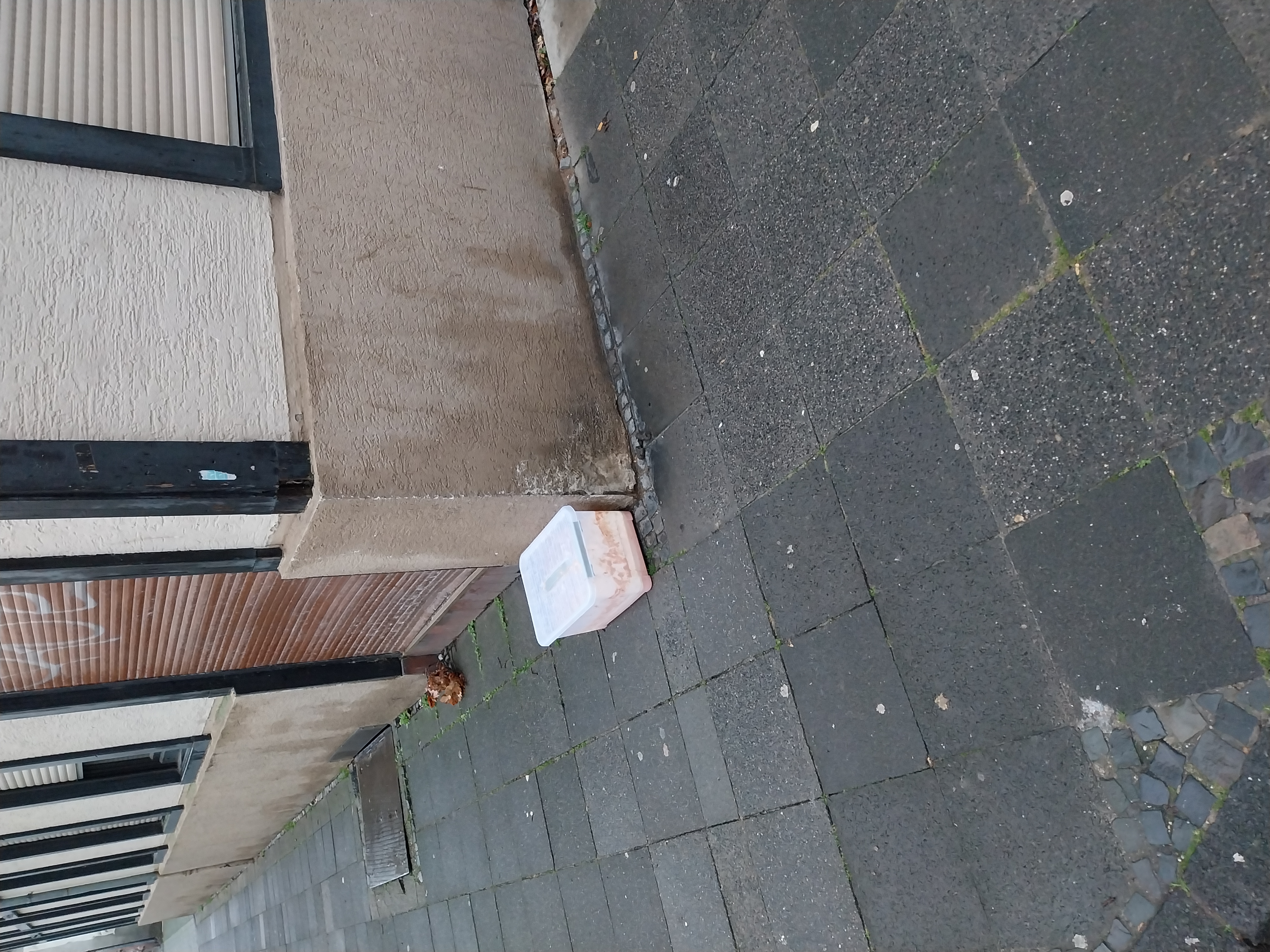 Open311 file from 2025-11-25 08:39:40