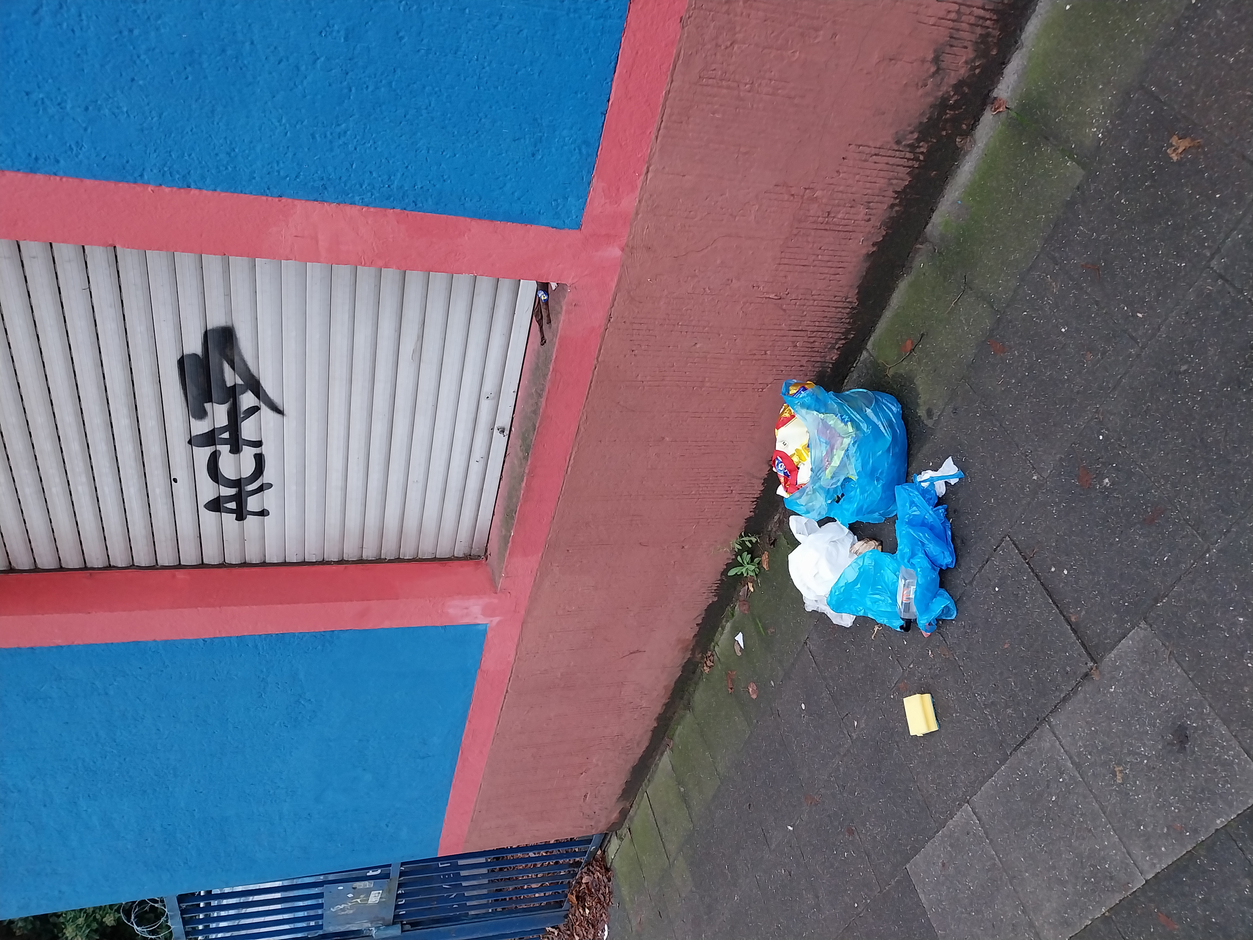 Open311 file from 2025-11-26 08:49:41