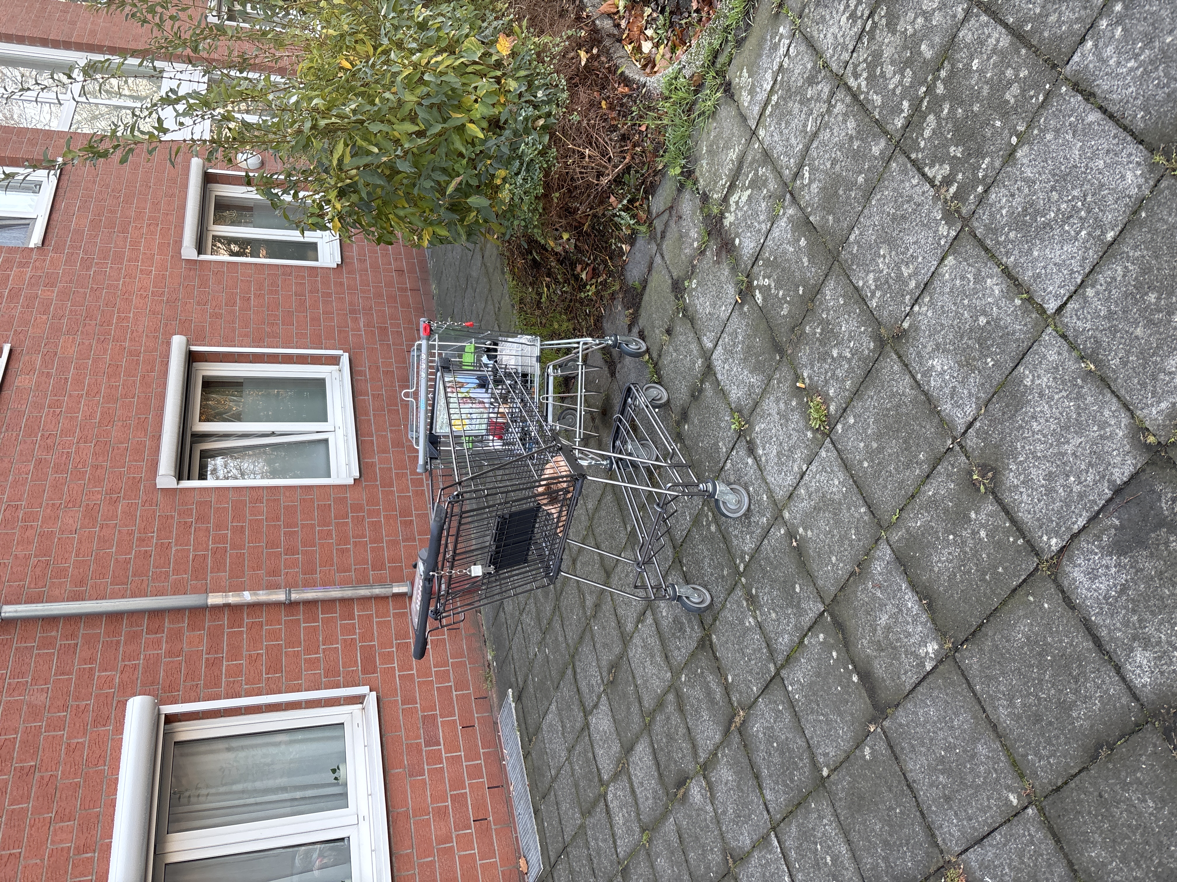 Open311 file from 2025-11-20 08:46:32