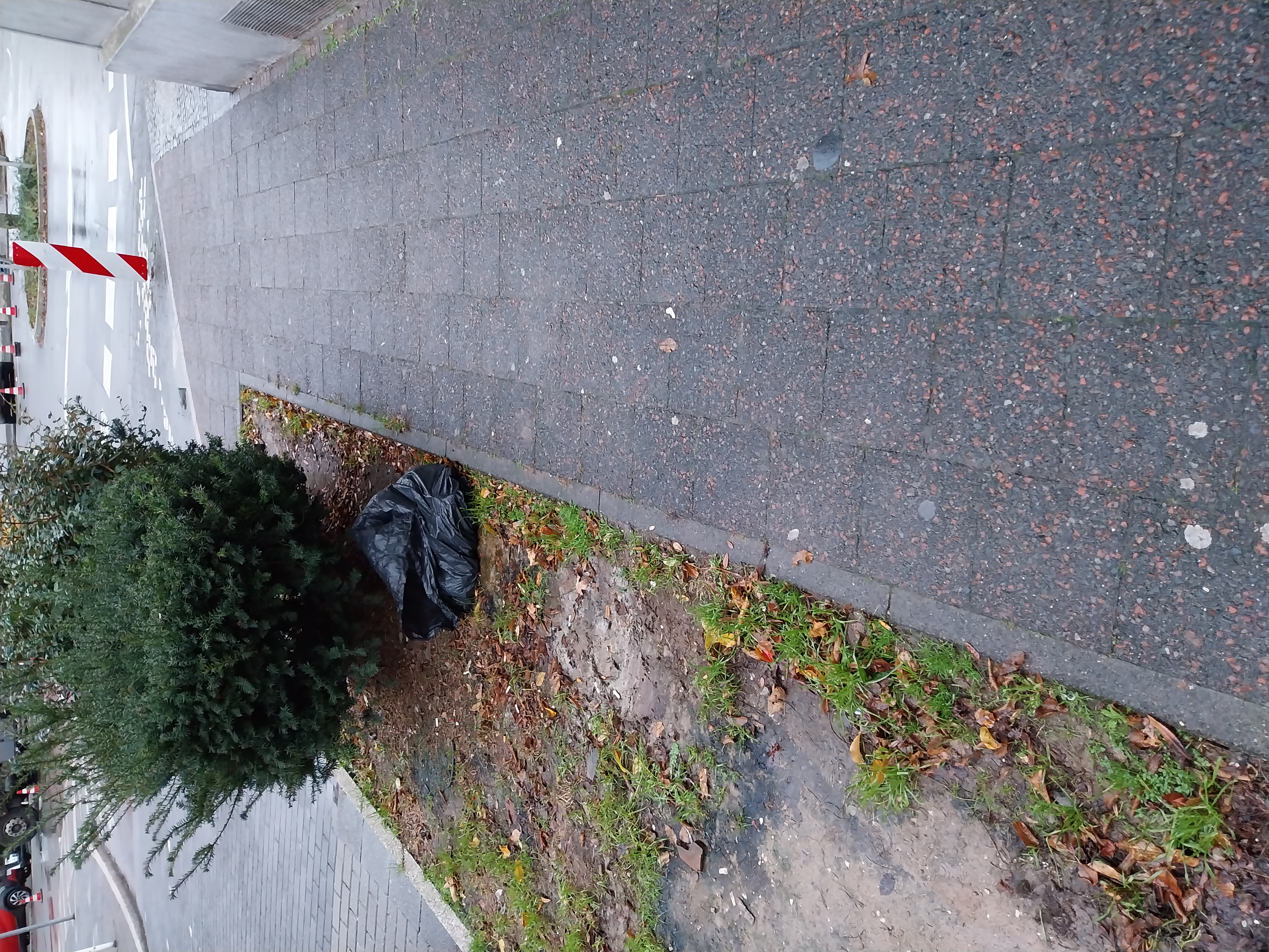 Open311 file from 2025-12-02 08:51:47