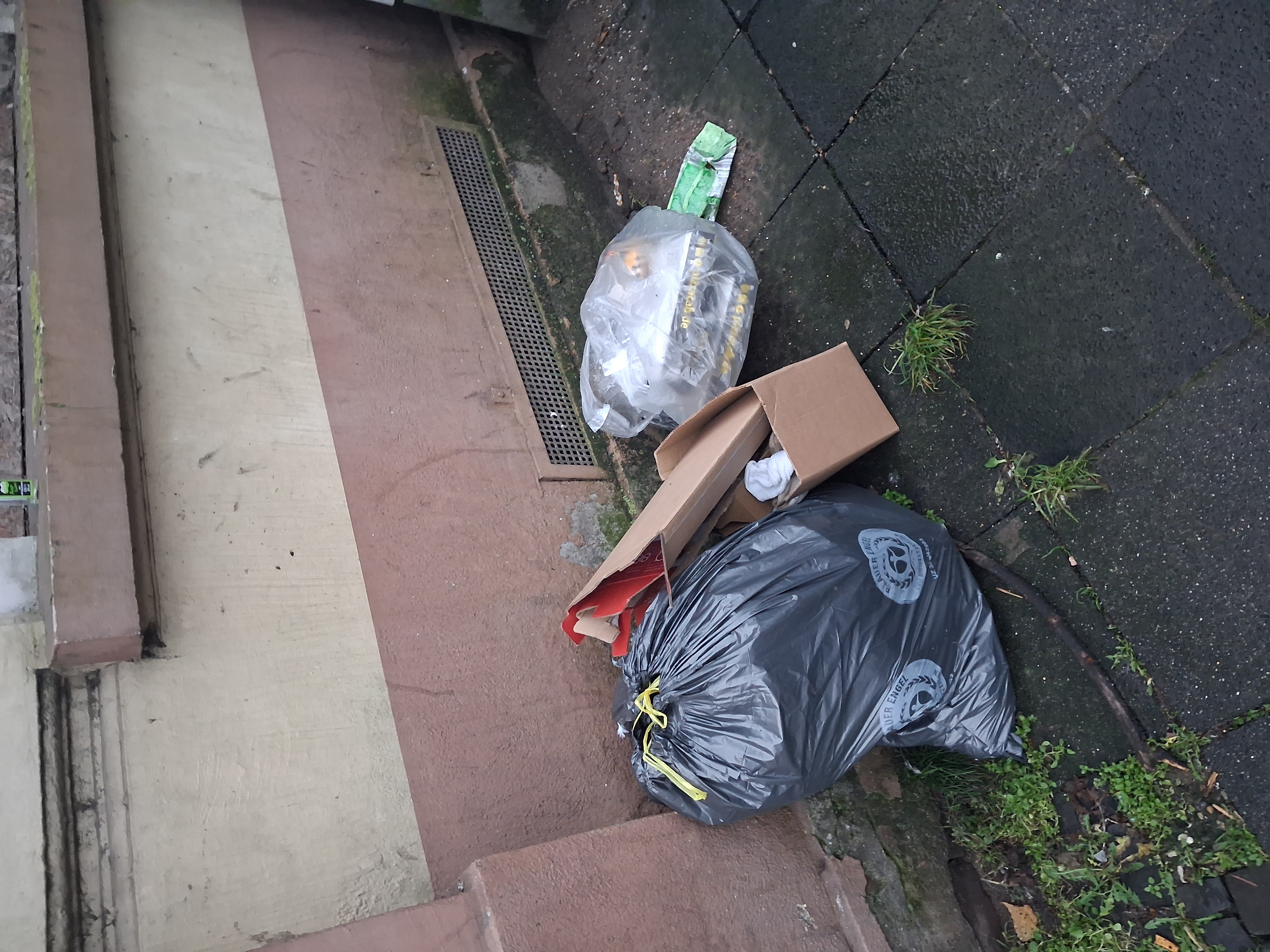 Open311 file from 2025-12-08 09:18:26