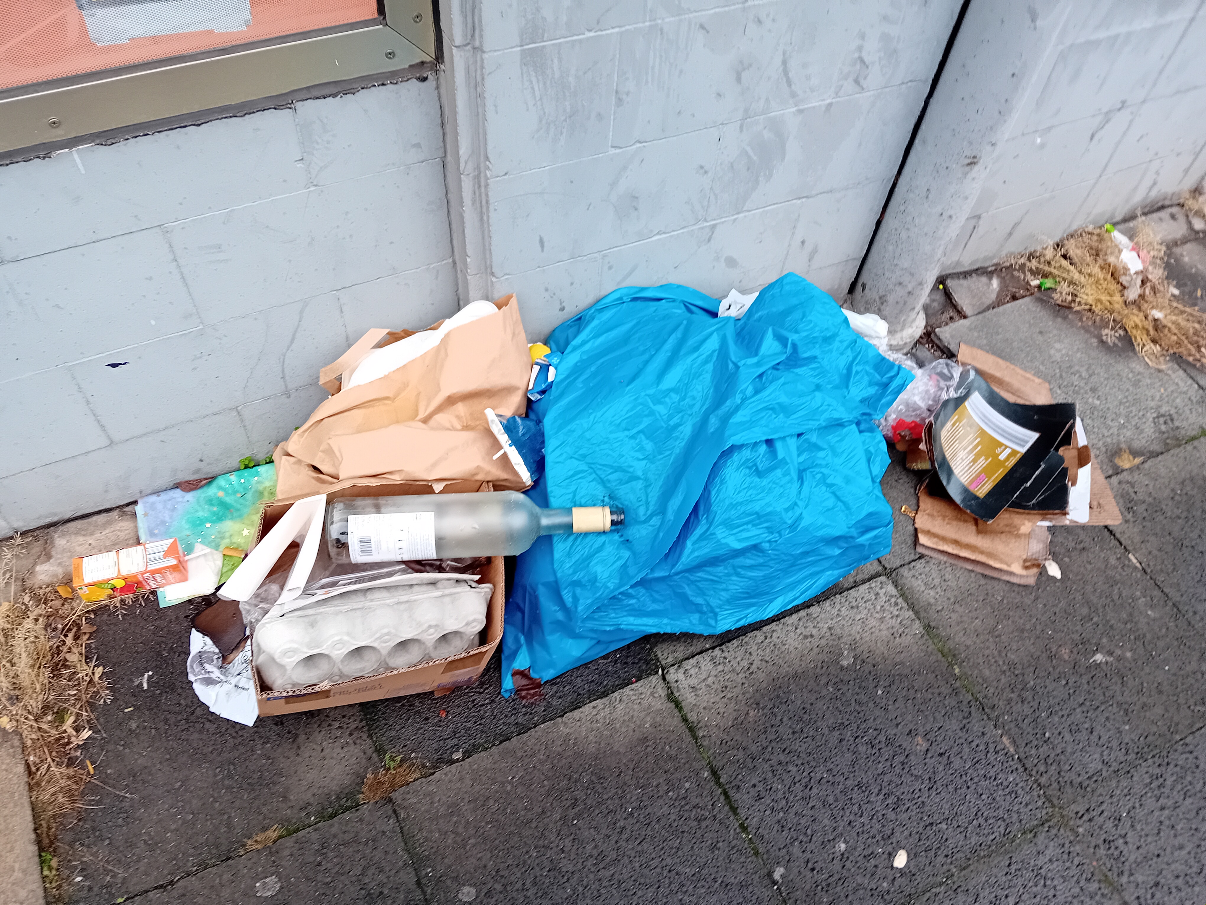 Open311 file from 2026-01-08 15:20:04