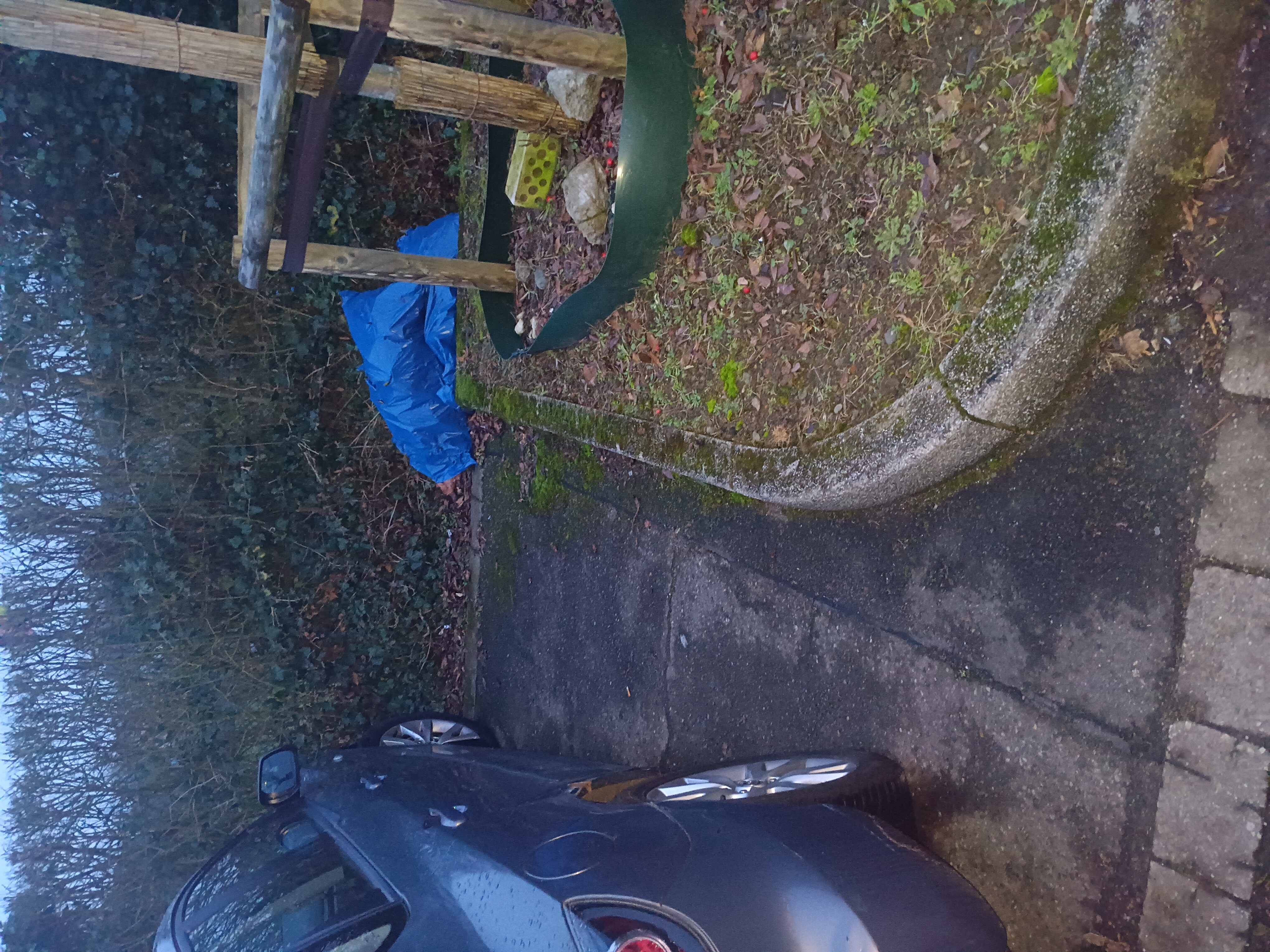 Open311 file from 2026-01-29 12:54:58