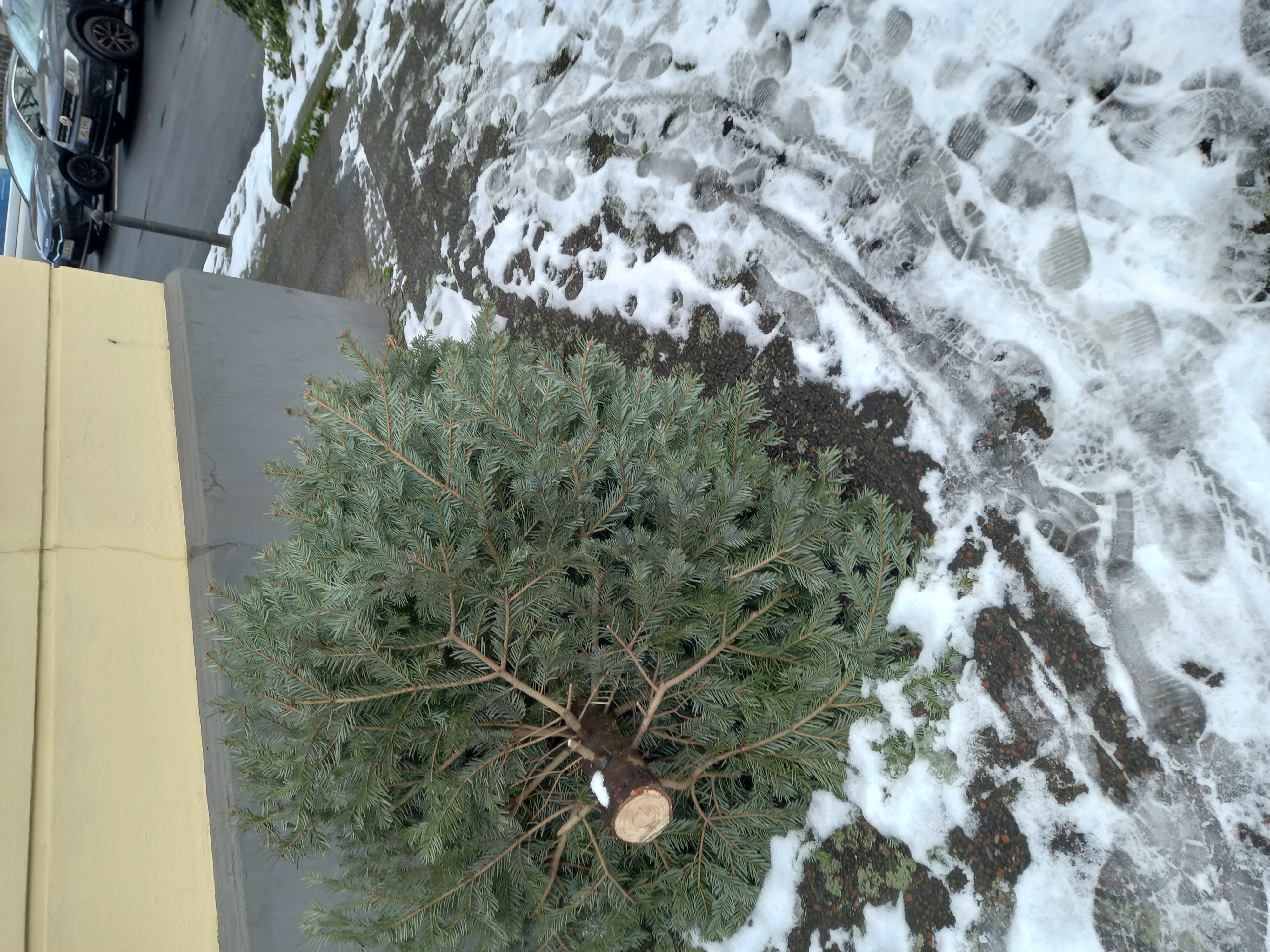 Open311 file from 2026-01-08 13:08:25