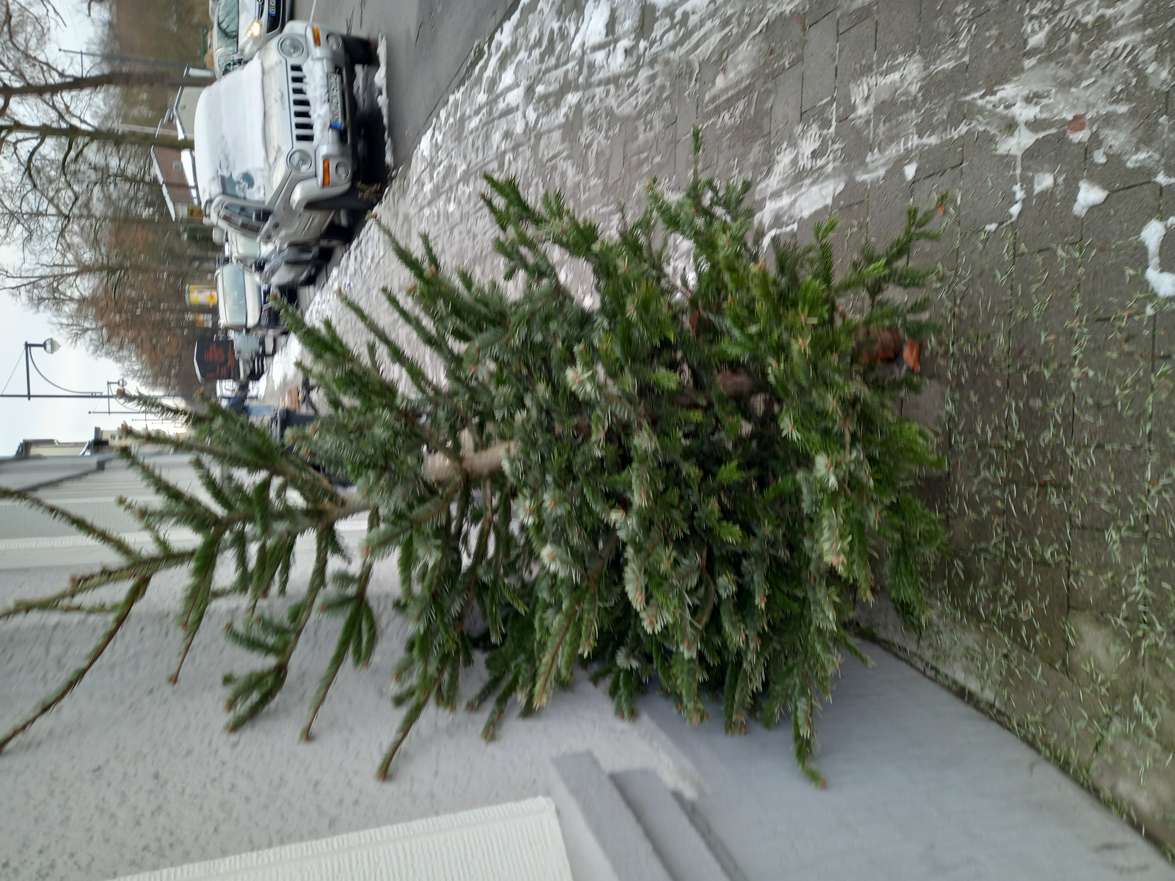 Open311 file from 2026-01-08 13:18:08