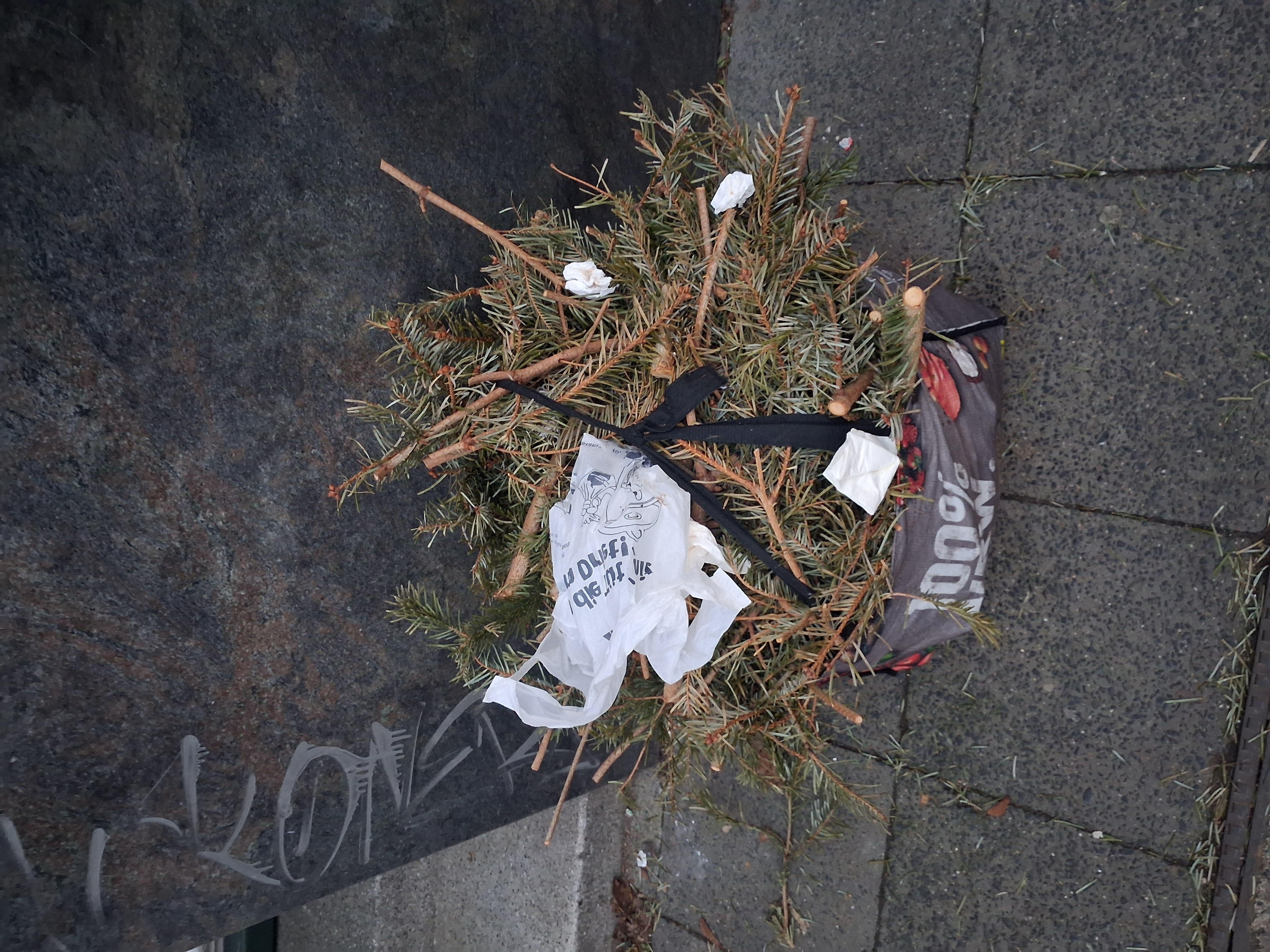 Open311 file from 2026-01-21 08:21:23