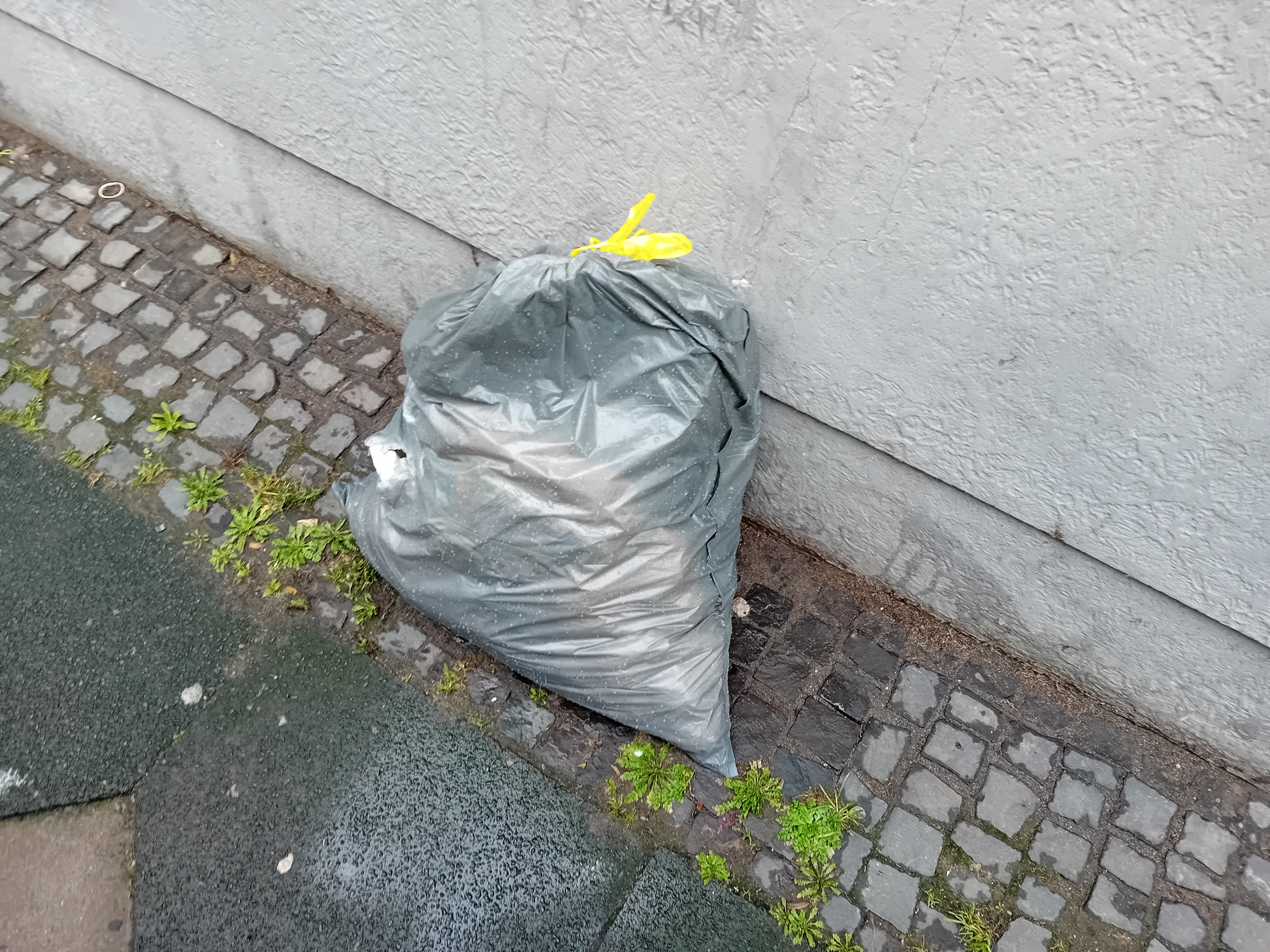 Open311 file from 2026-02-19 13:57:50