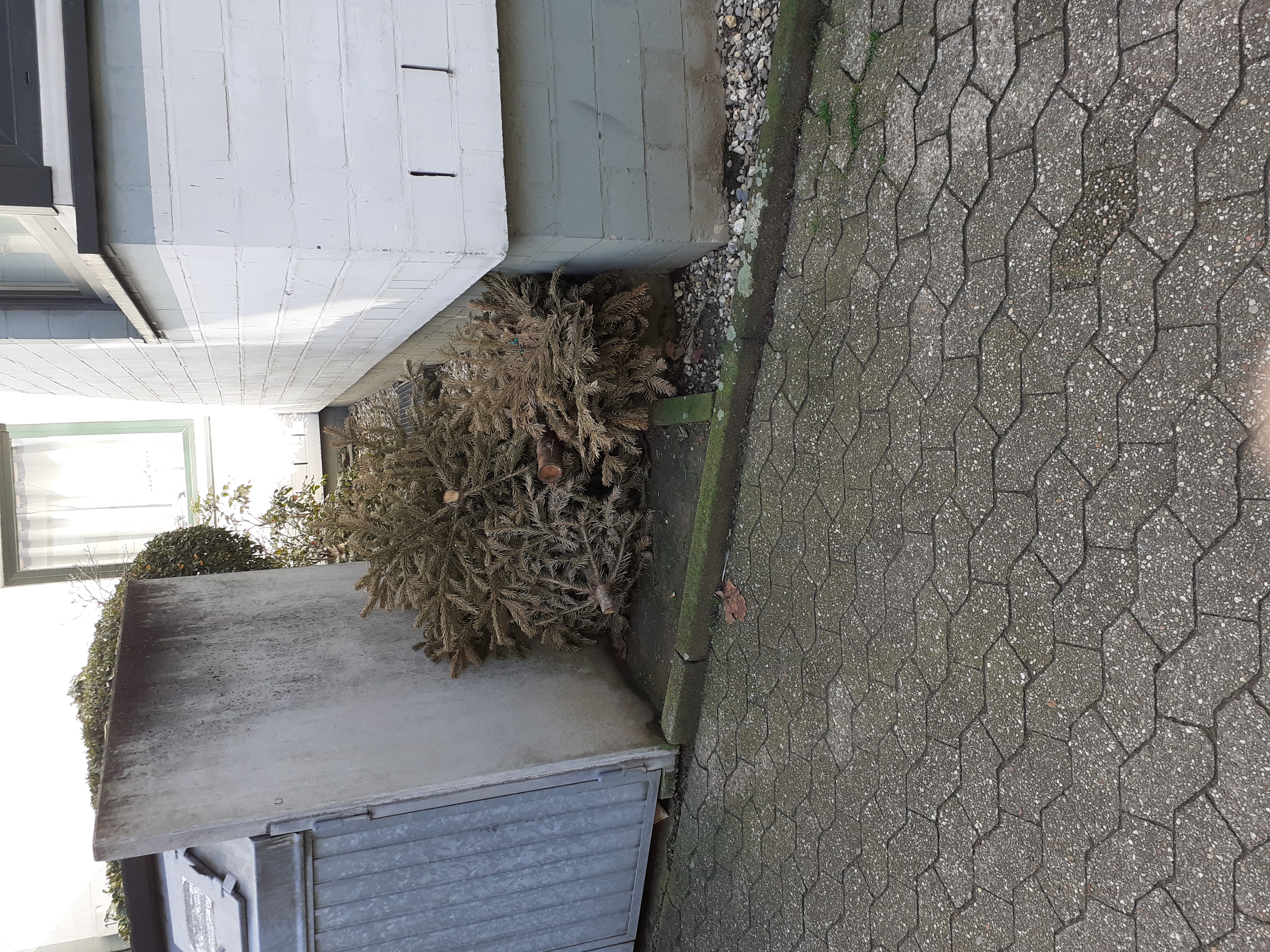 Open311 file from 2026-02-25 12:36:06