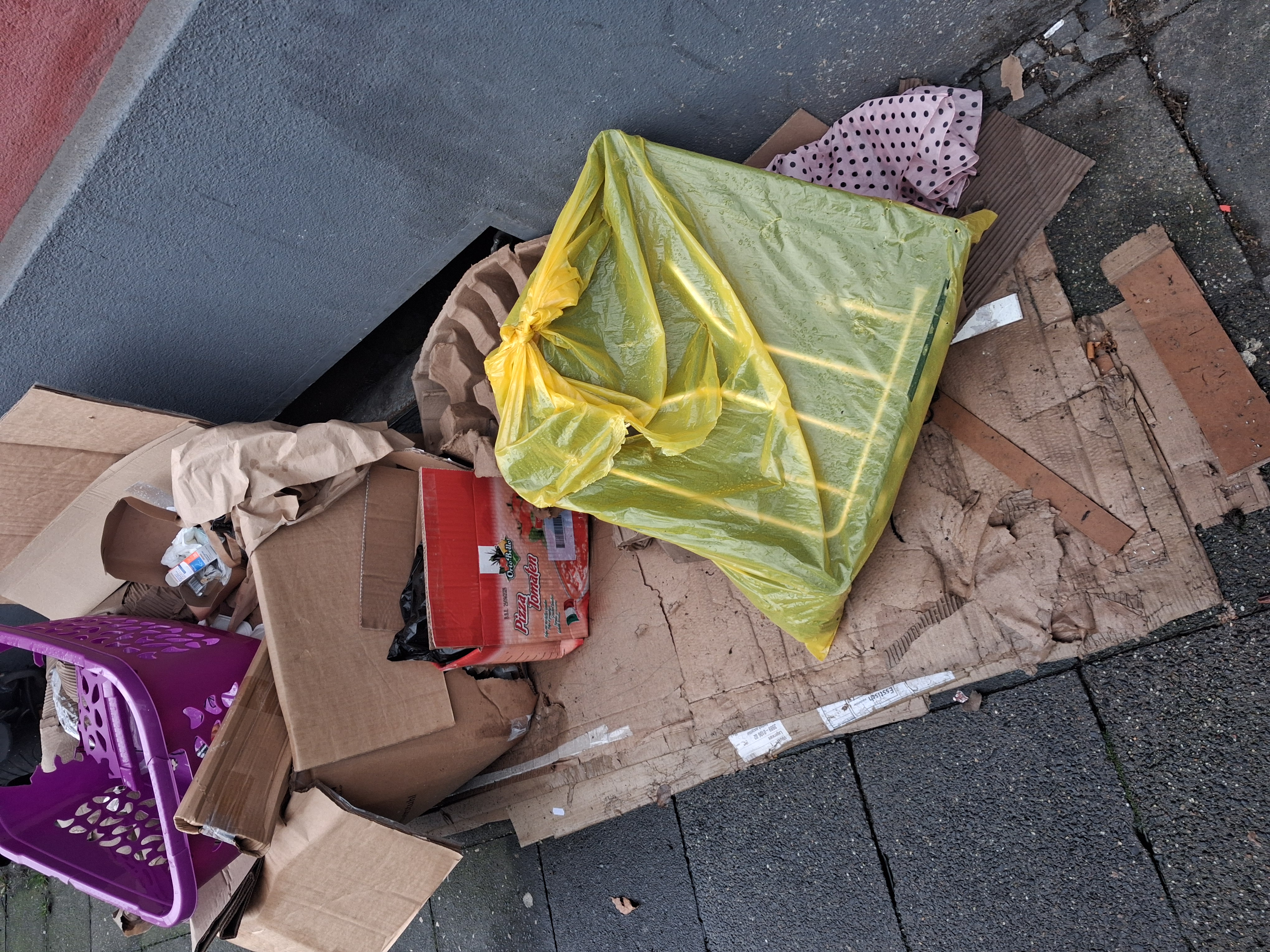 Open311 file from 2026-02-23 08:45:20