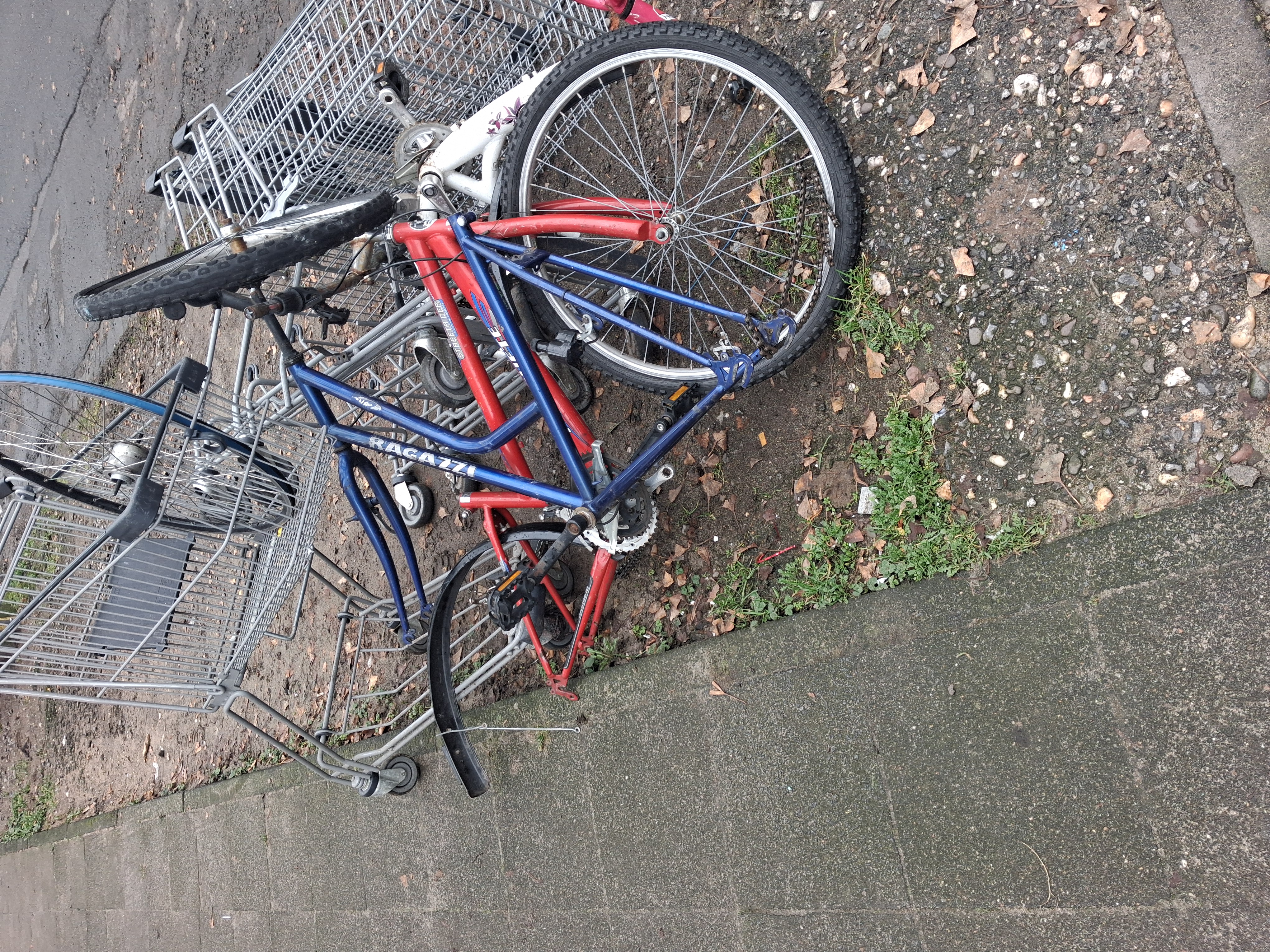 Open311 file from 2026-02-24 11:59:03