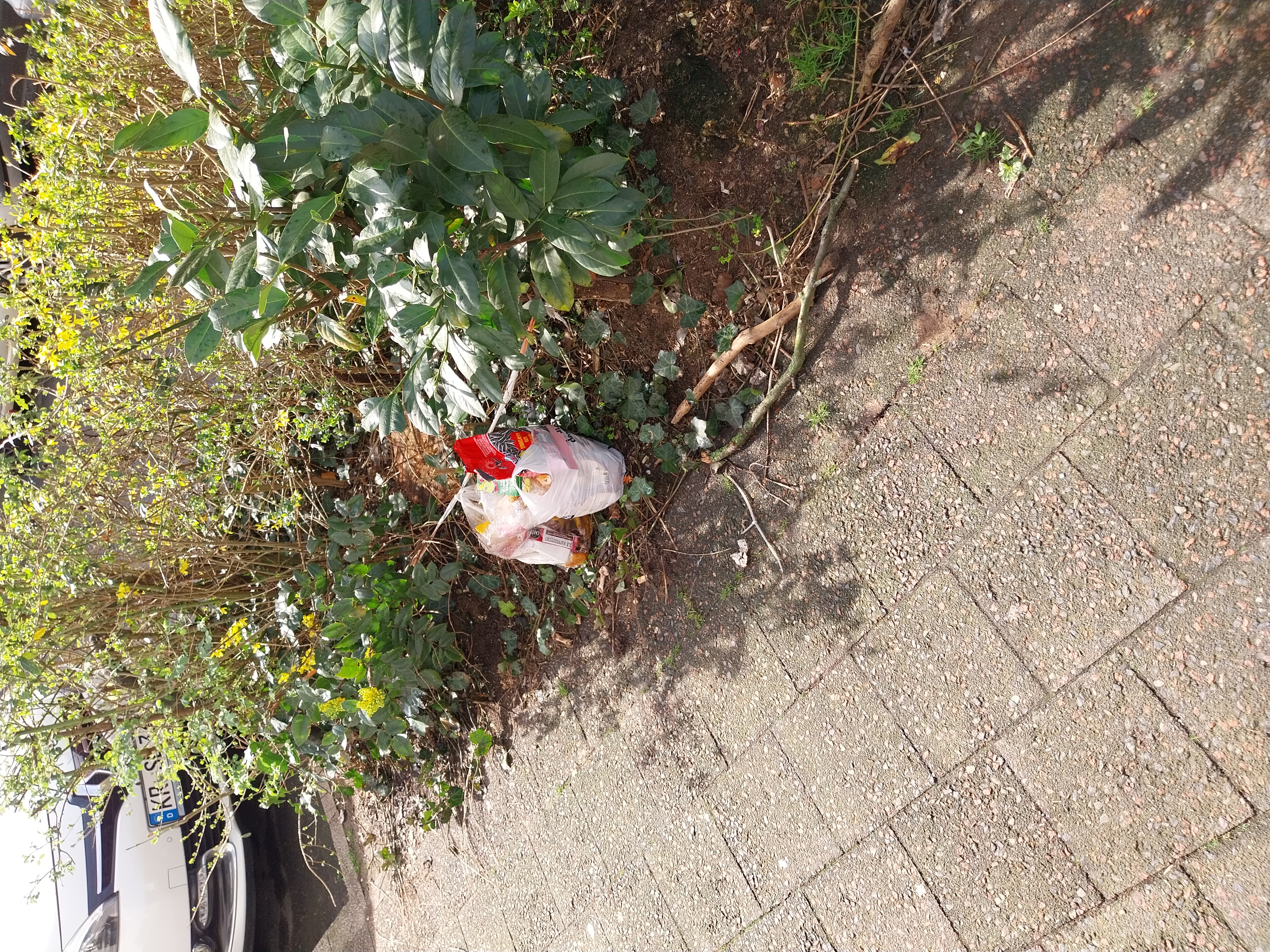 Open311 file from 2026-03-10 12:00:21