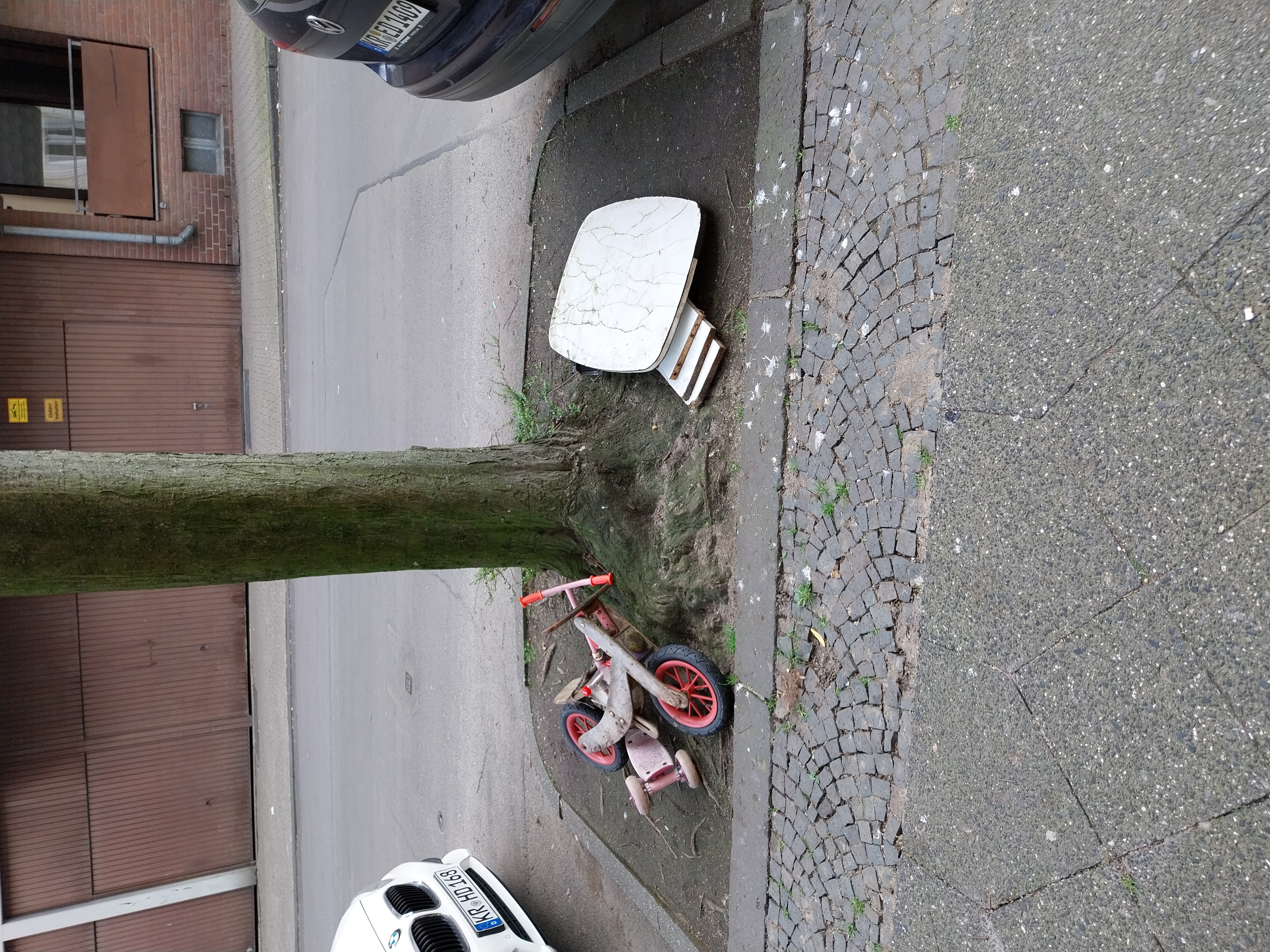 Open311 file from 2026-03-20 08:25:43