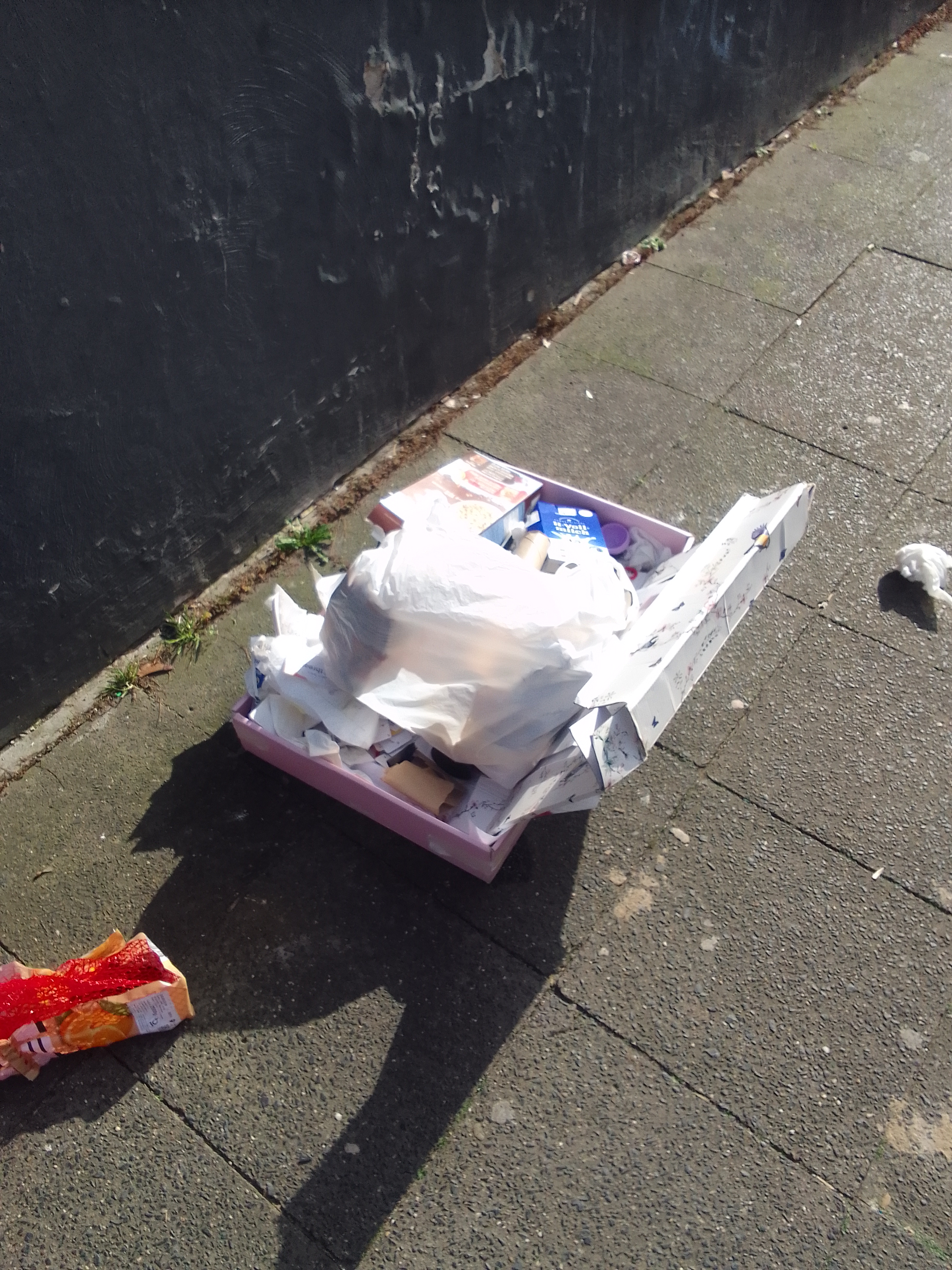 Open311 file from 2026-03-09 11:17:22